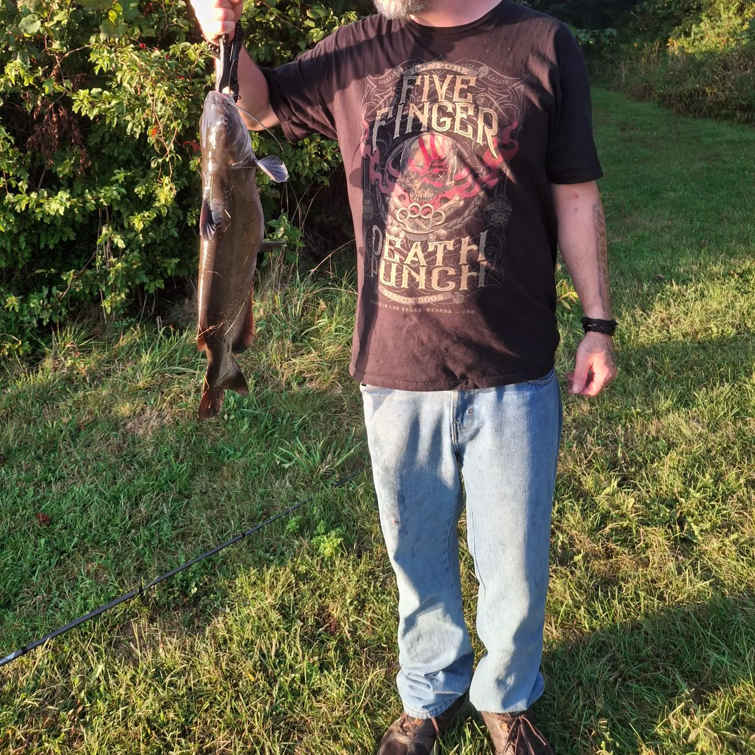 Channel catfish caught on Fishbrain