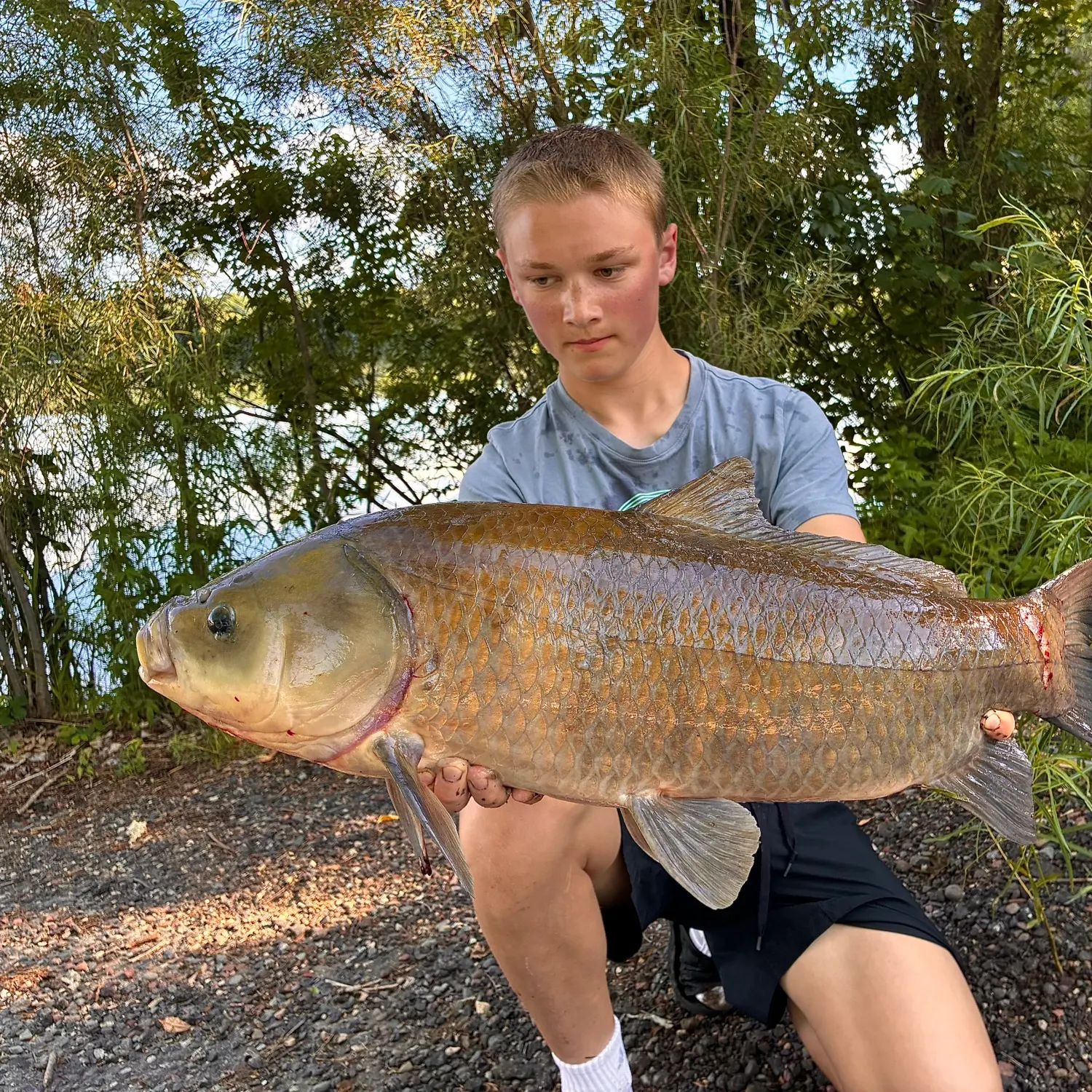 The most recent Bigmouth buffalo catches on Fishbrain
