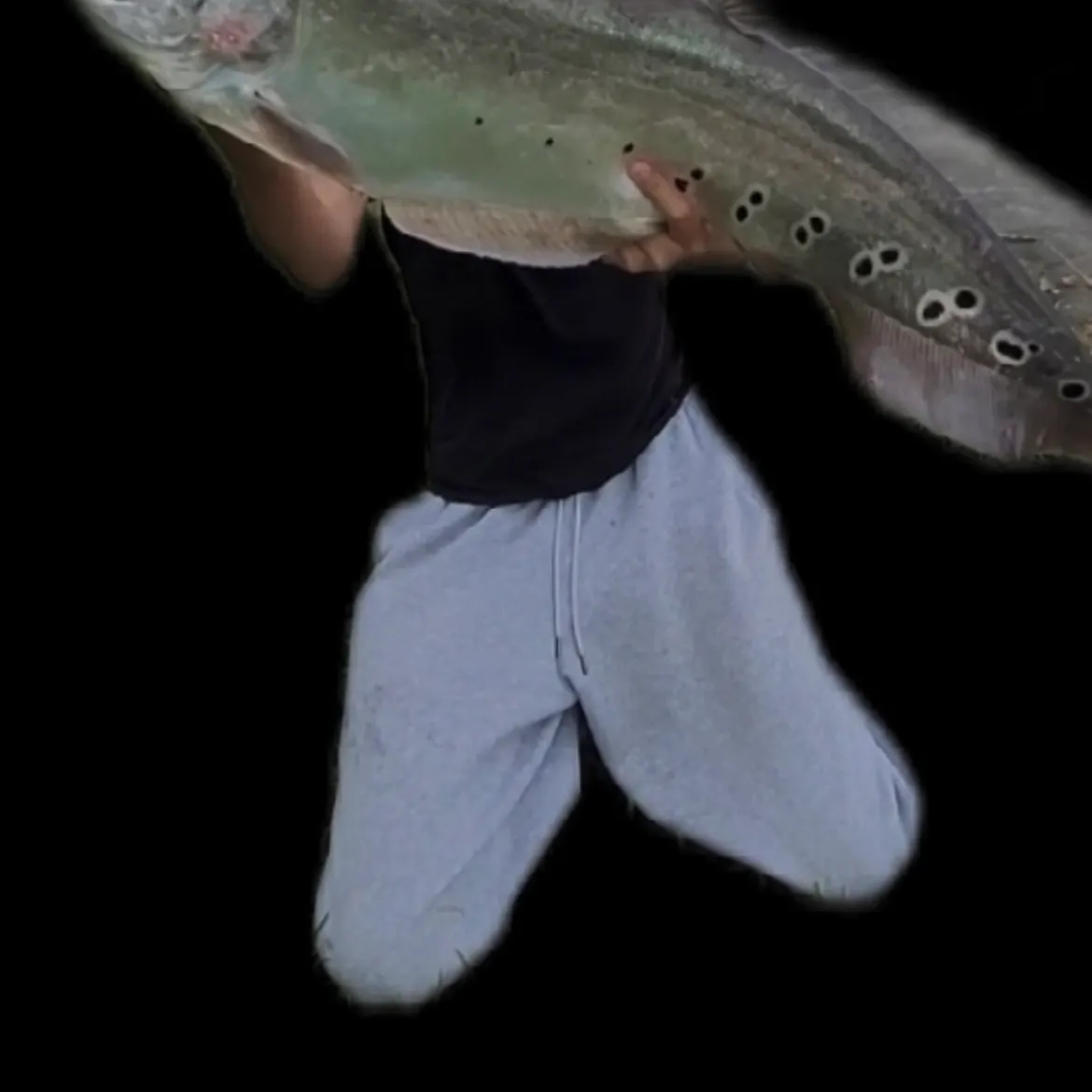 The most recent Clown knifefish catches on Fishbrain