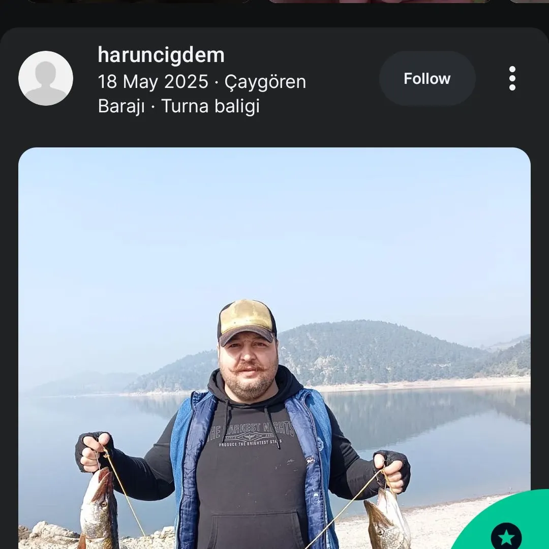recently logged catches