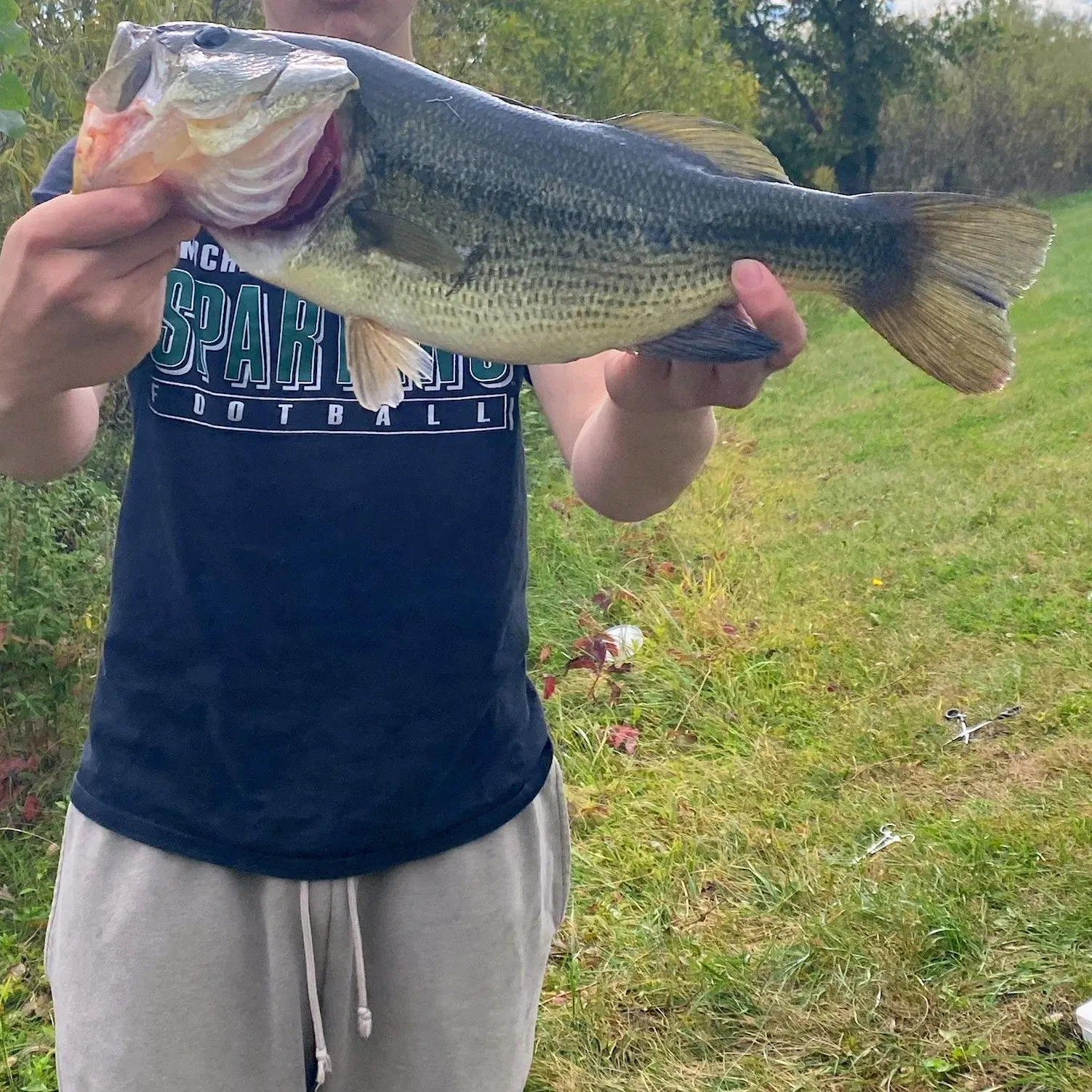Largemouth bass caught on Fishbrain