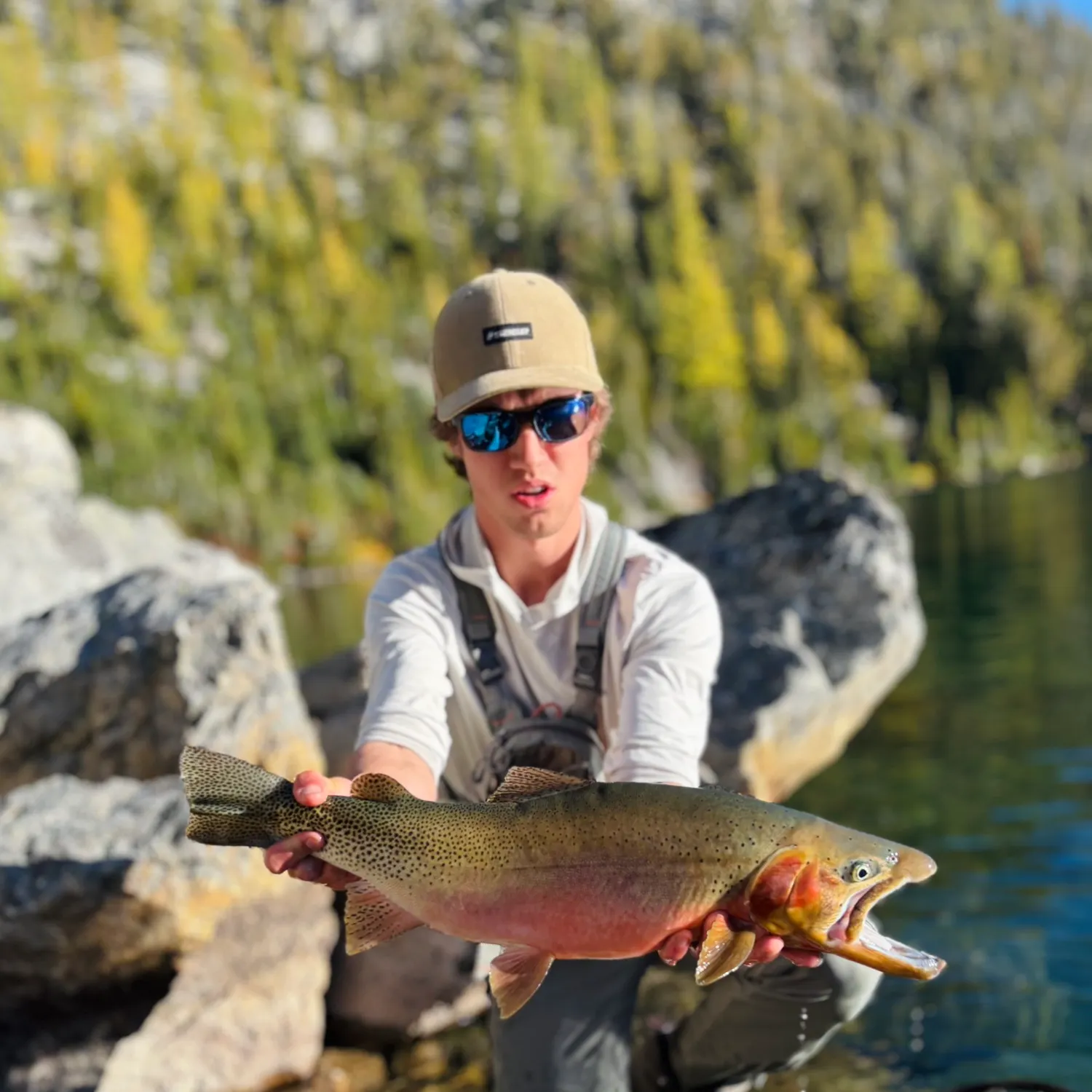 The most recent Westslope cutthroat trout catches on Fishbrain