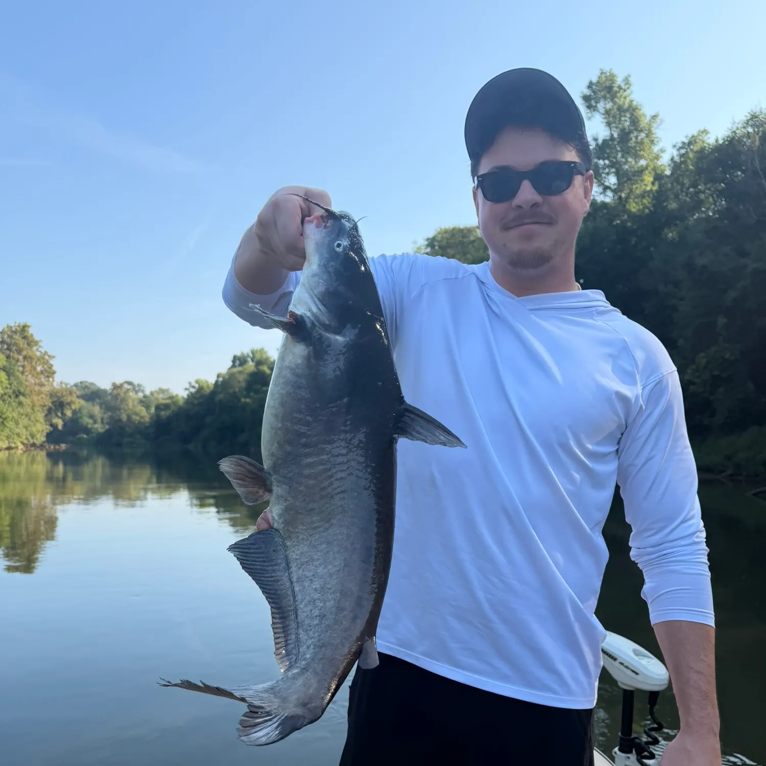The most recent Blue catfish catches on Fishbrain