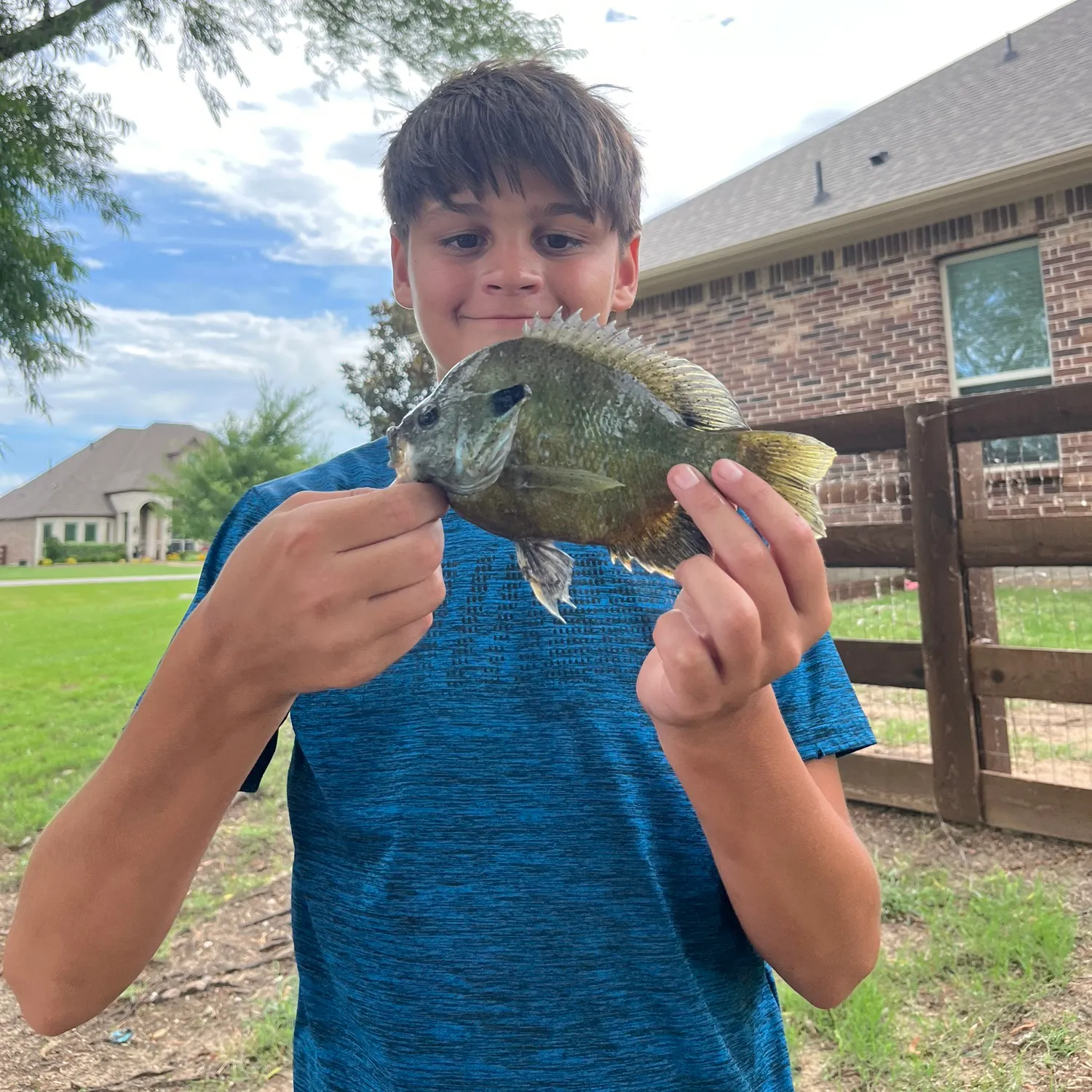 The most recent Greengill hybrid catches on Fishbrain