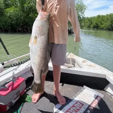 The most recent Barramundi catches on Fishbrain