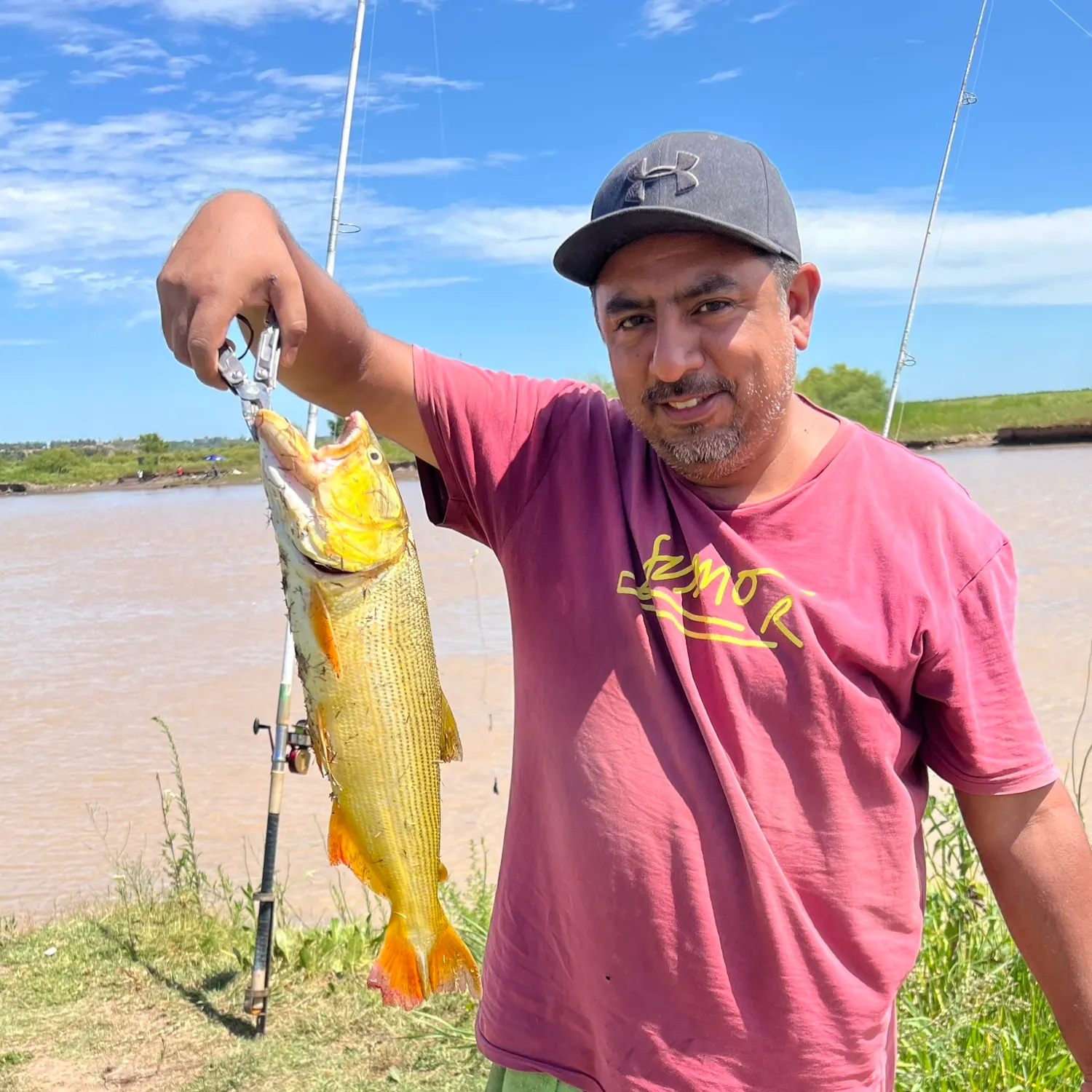 The most popular recent Golden dorado catch on Fishbrain