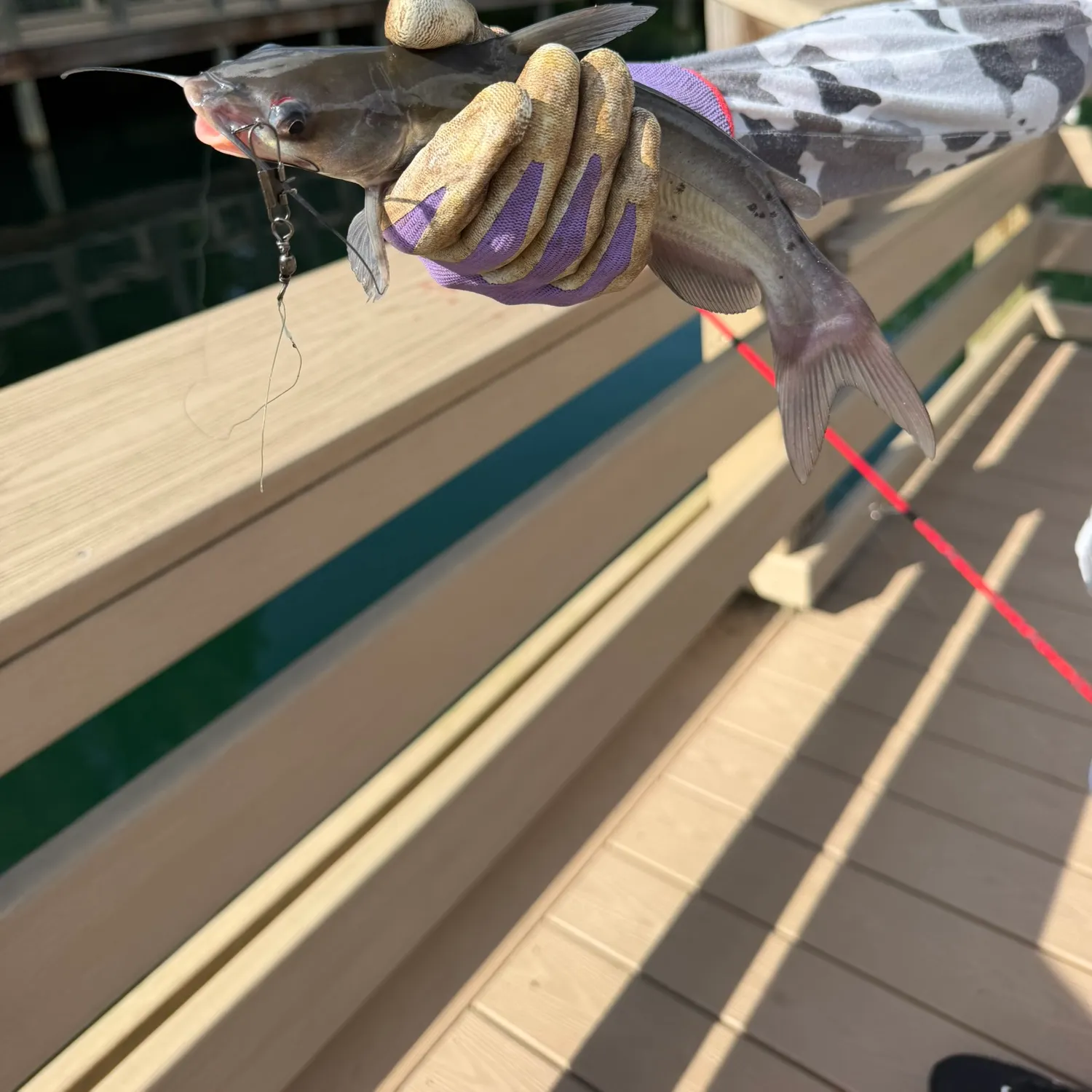 catch