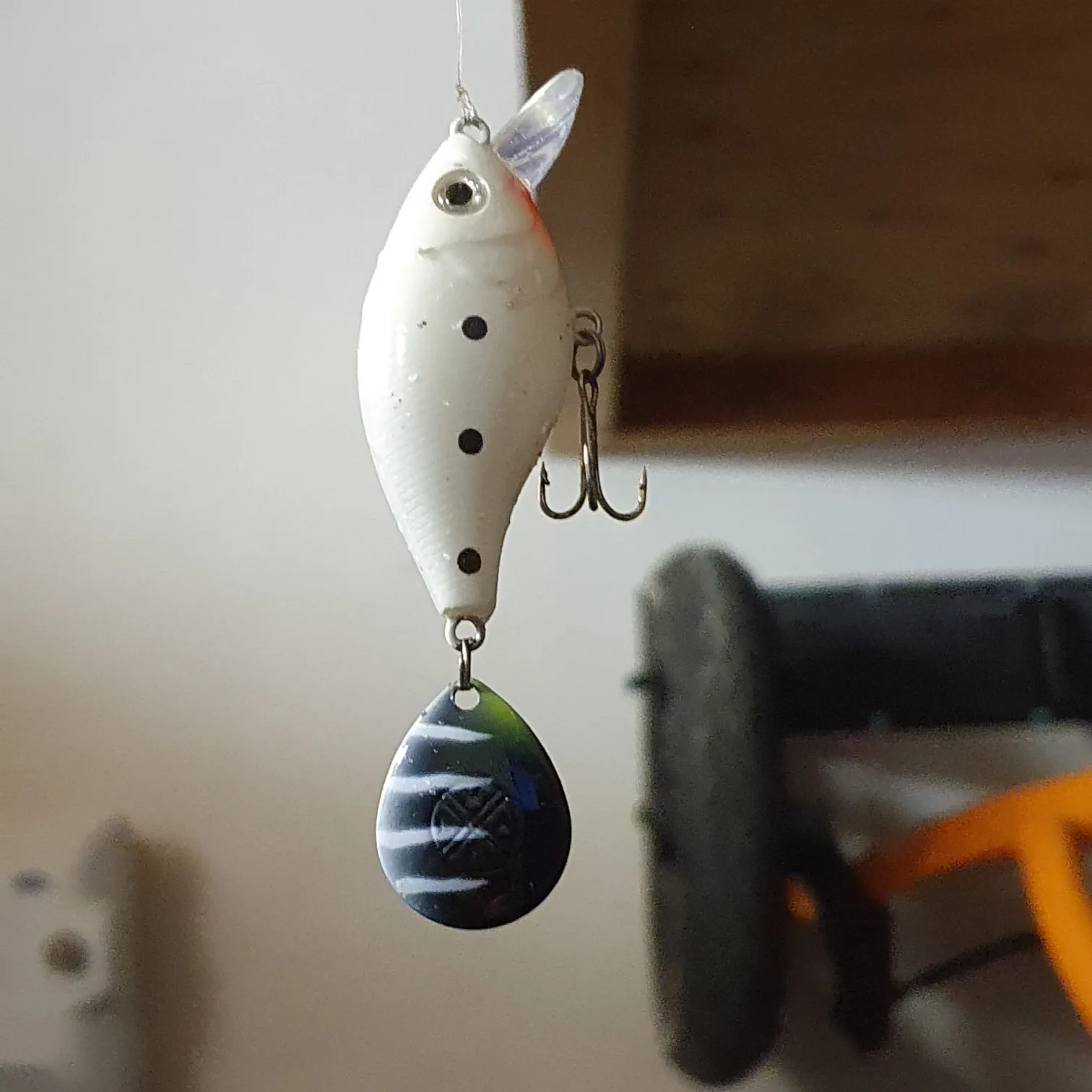 The most recent European perch catches on Fishbrain