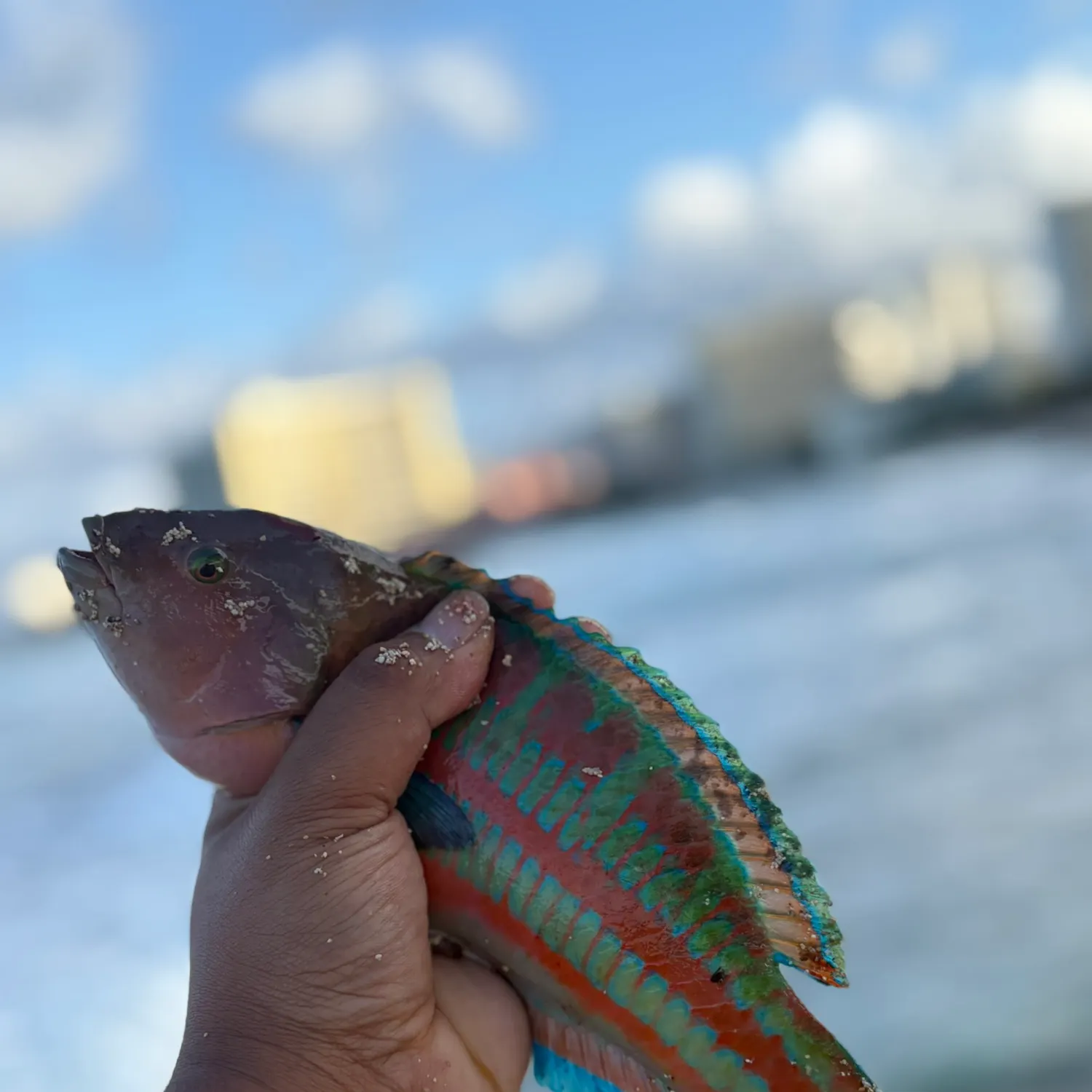 catch