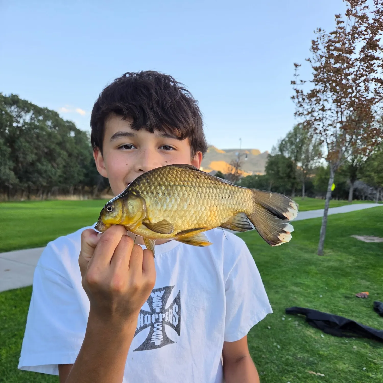 Goldfish caught on Fishbrain