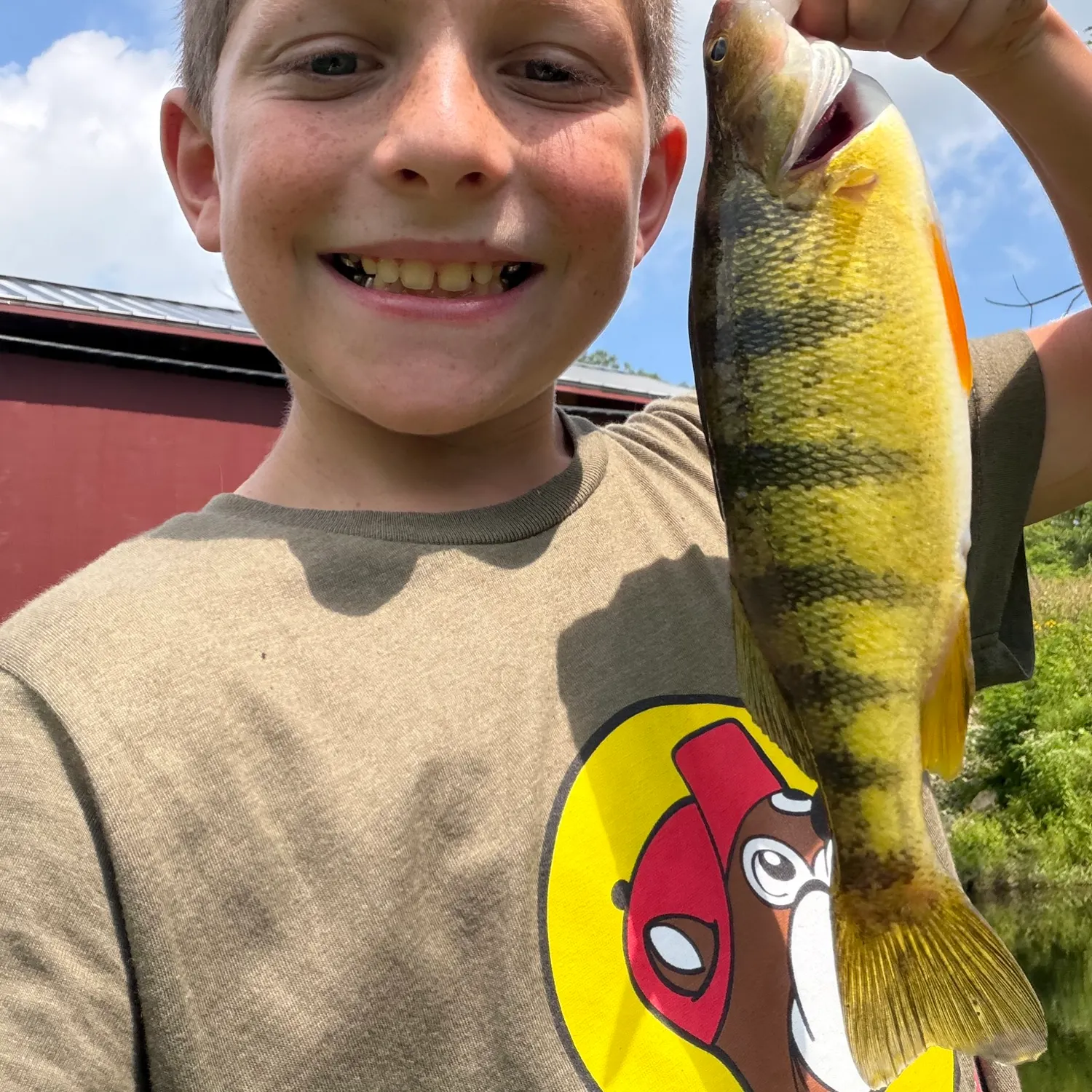 Fish caught on Fishbrain