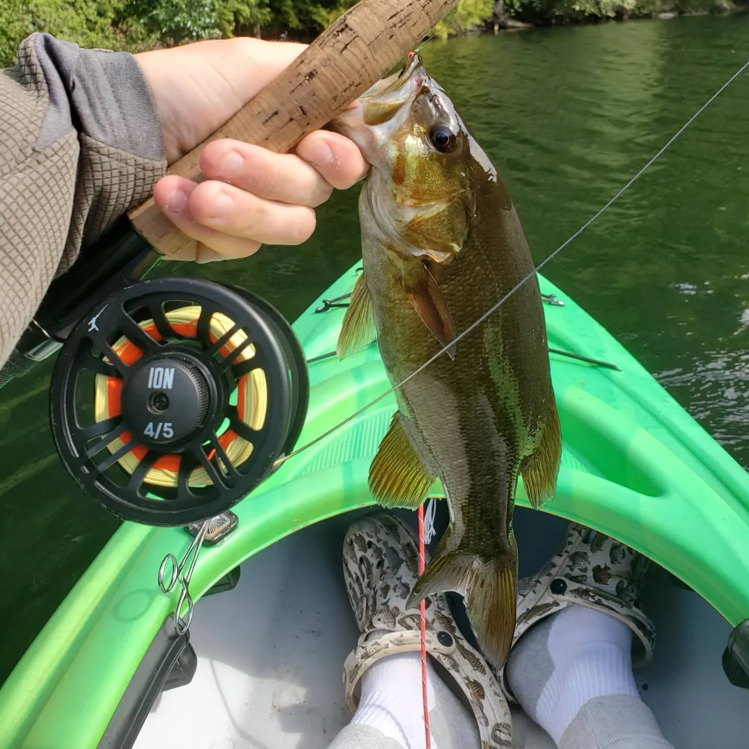 Smallmouth bass caught on Fishbrain