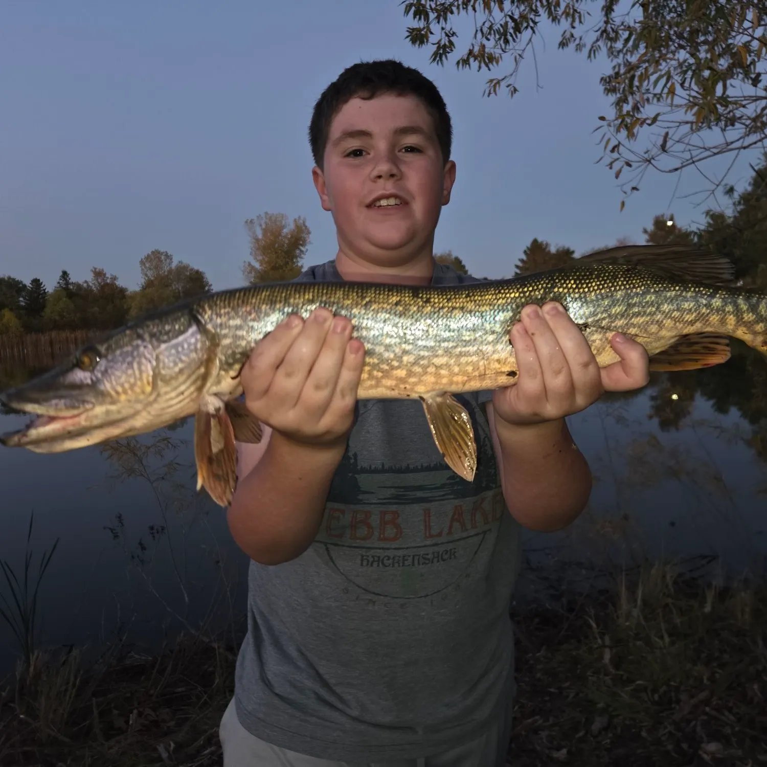 Northern pike caught on Fishbrain