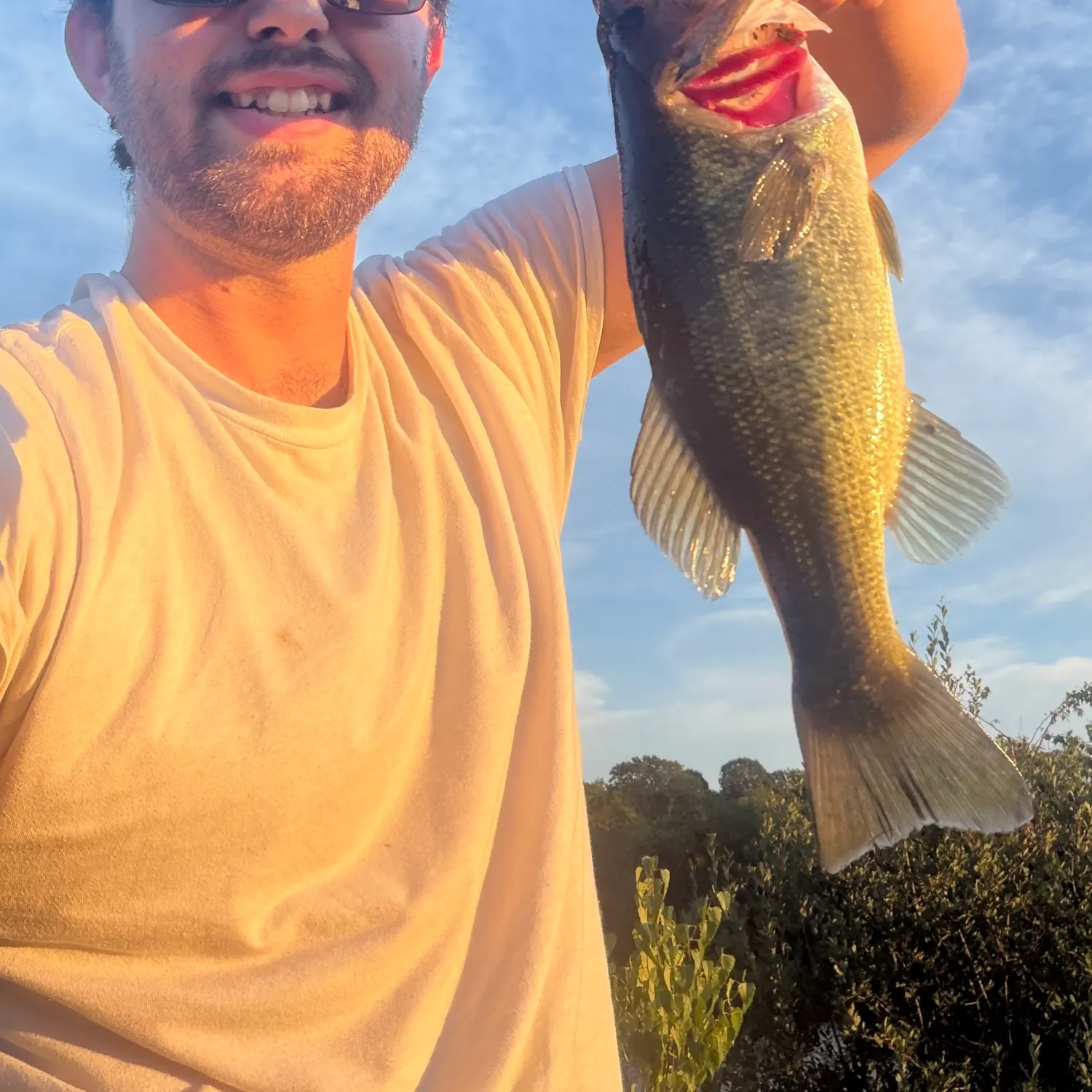 Largemouth bass caught on Fishbrain