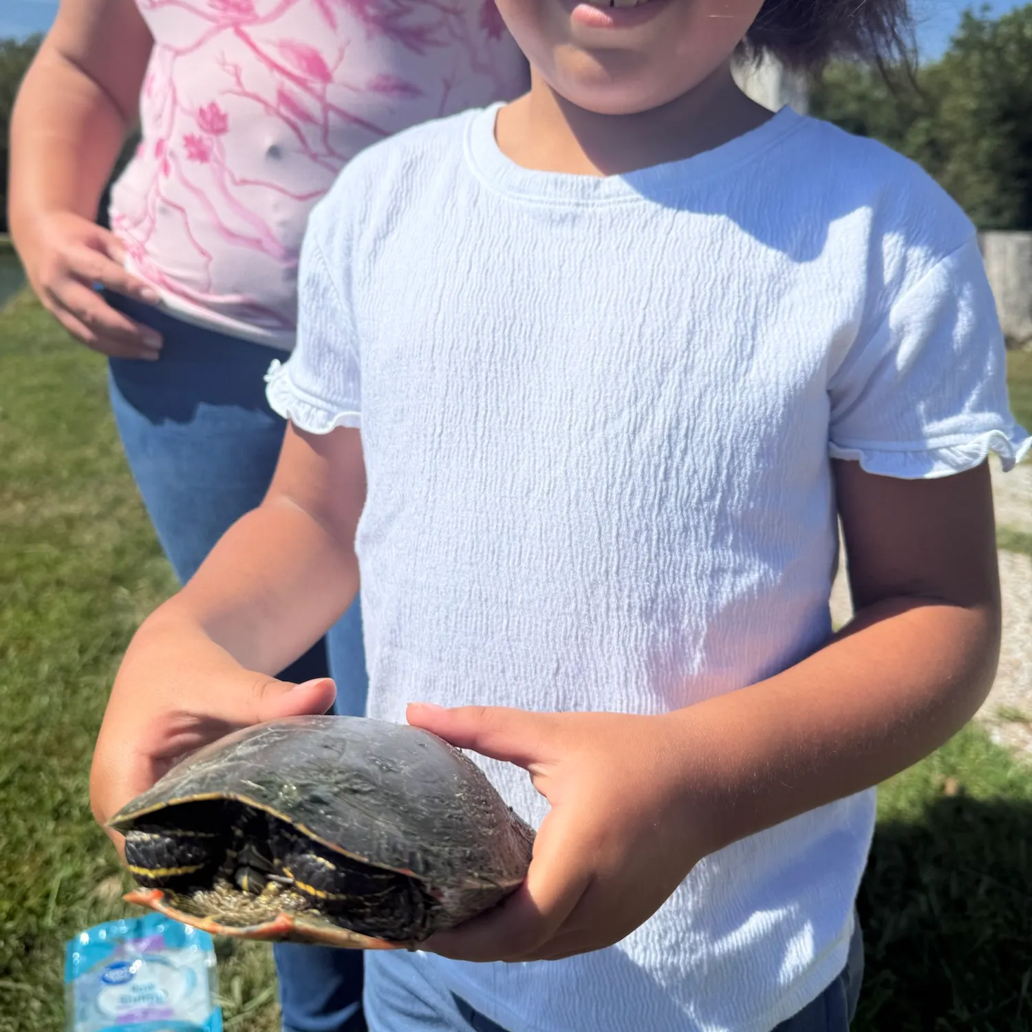 Pond slider turtle caught on Fishbrain