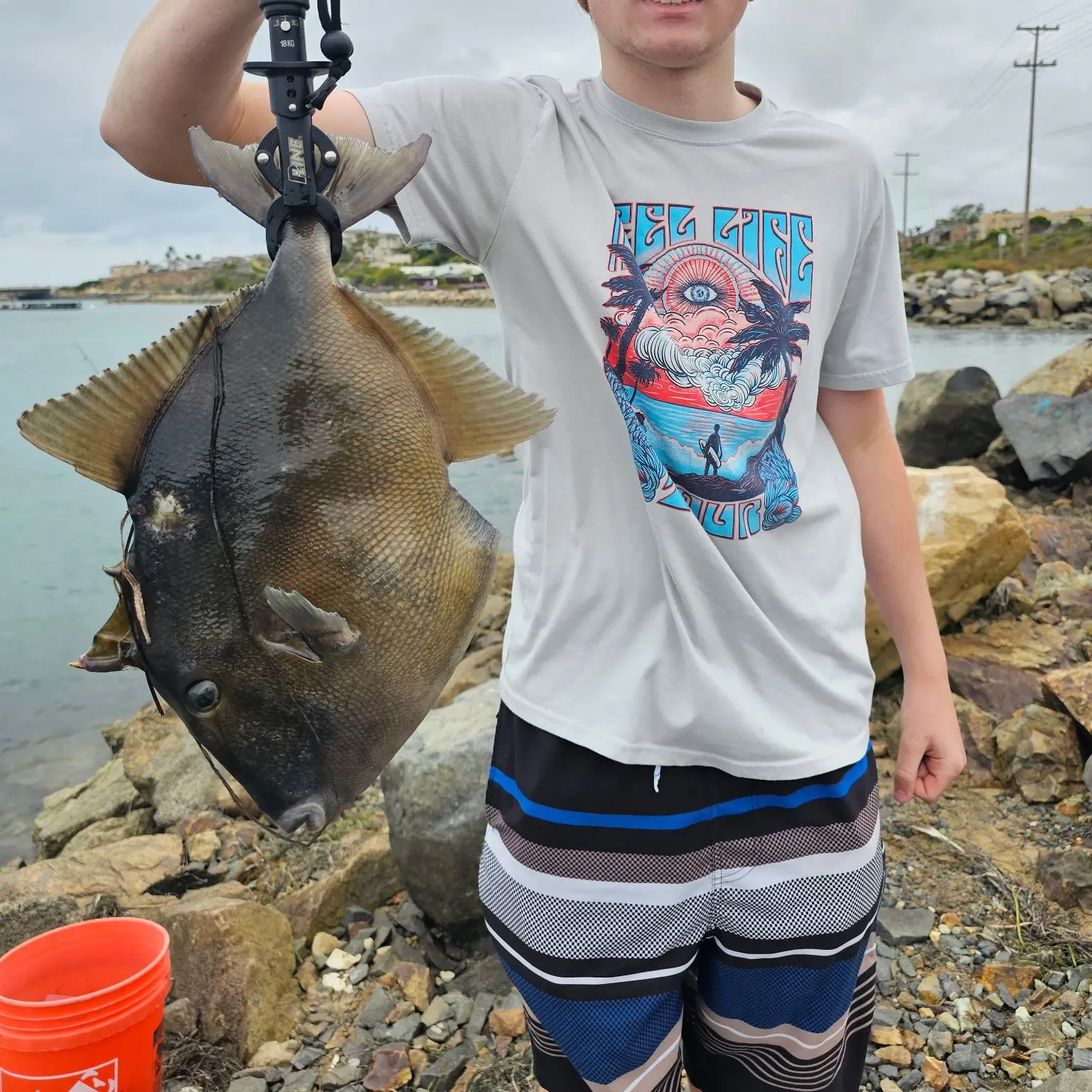 The most recent Finescale triggerfish catches on Fishbrain