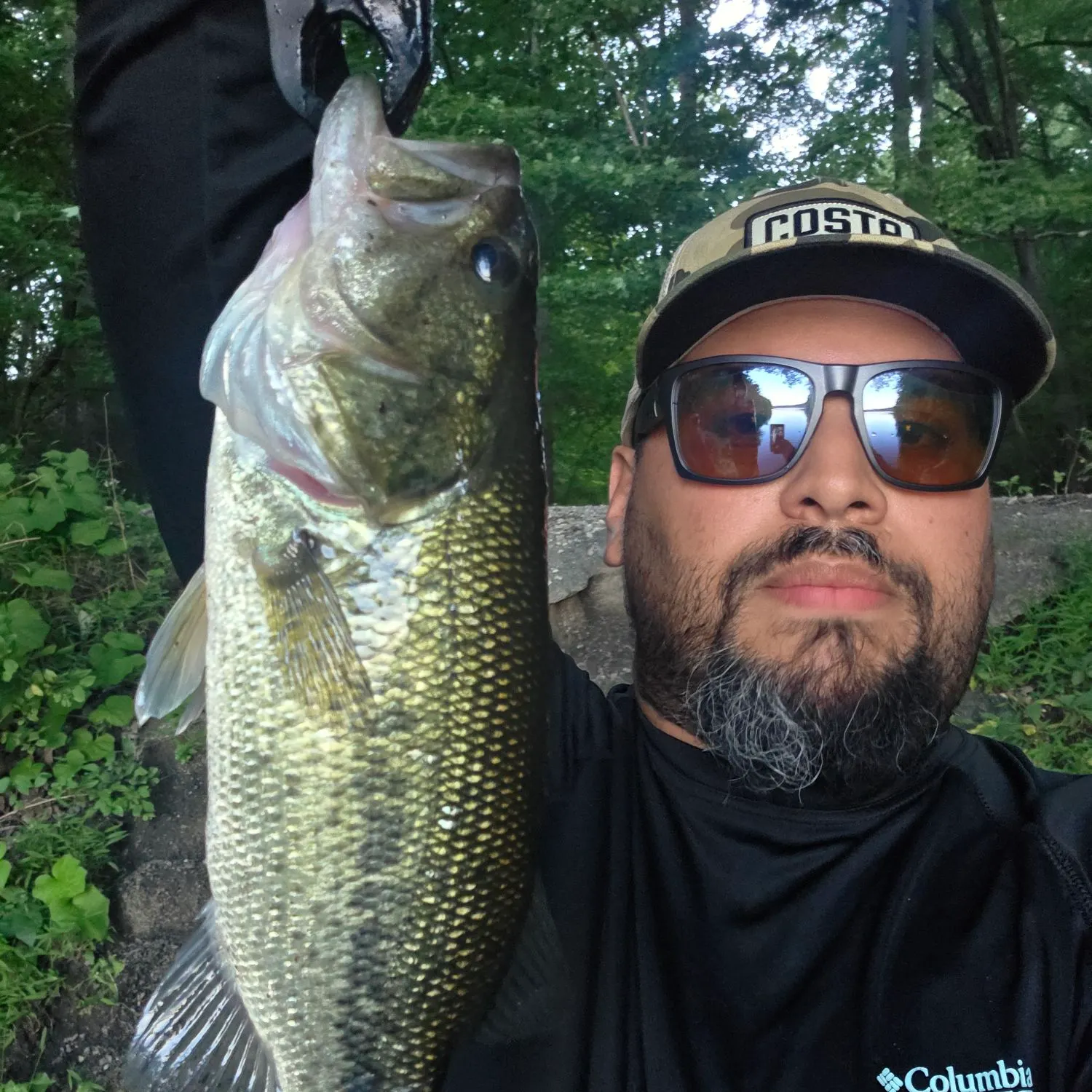 Largemouth bass caught on Fishbrain