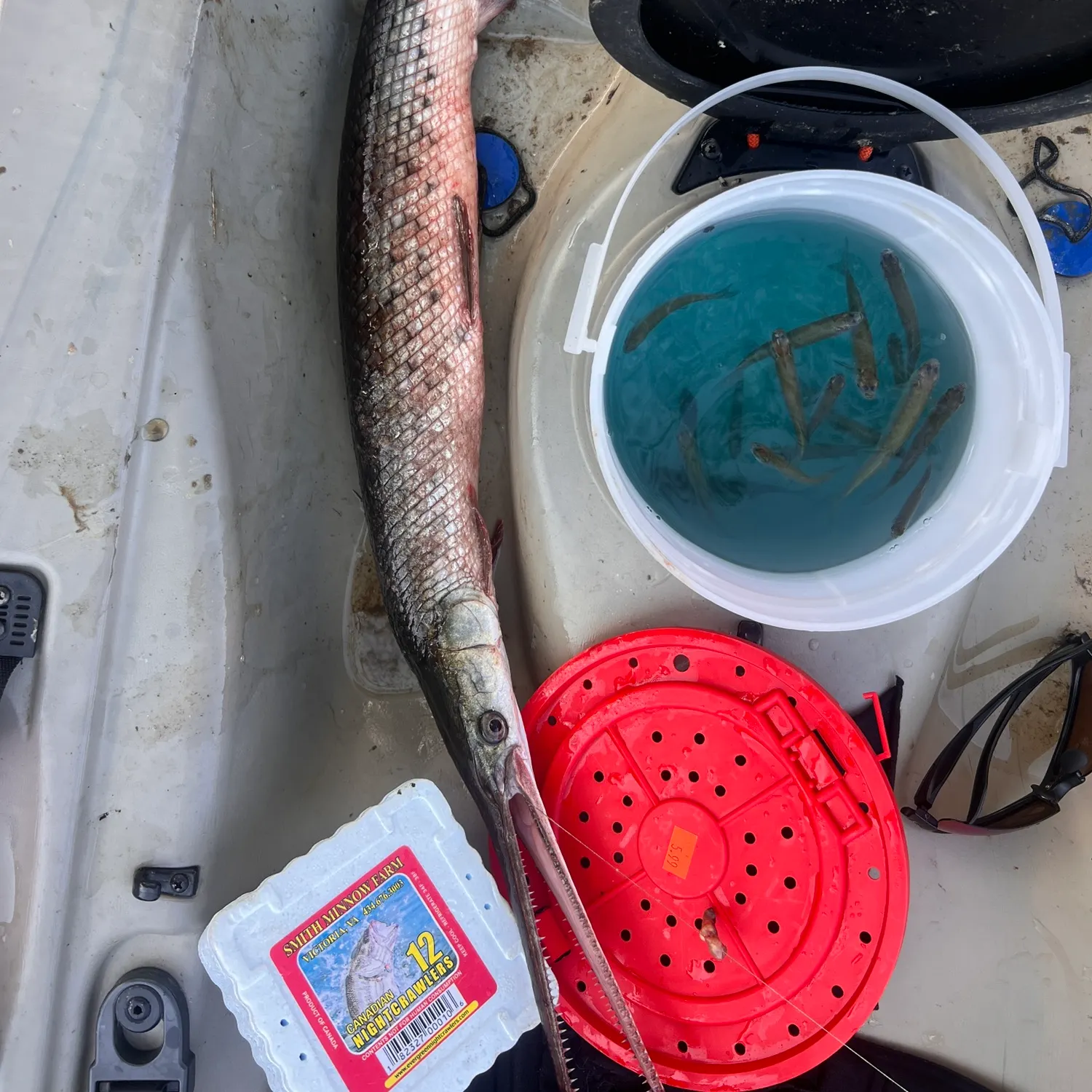 recently logged catches