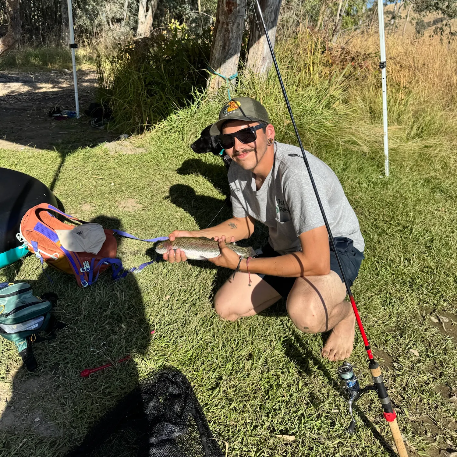 Rainbow trout caught on Fishbrain