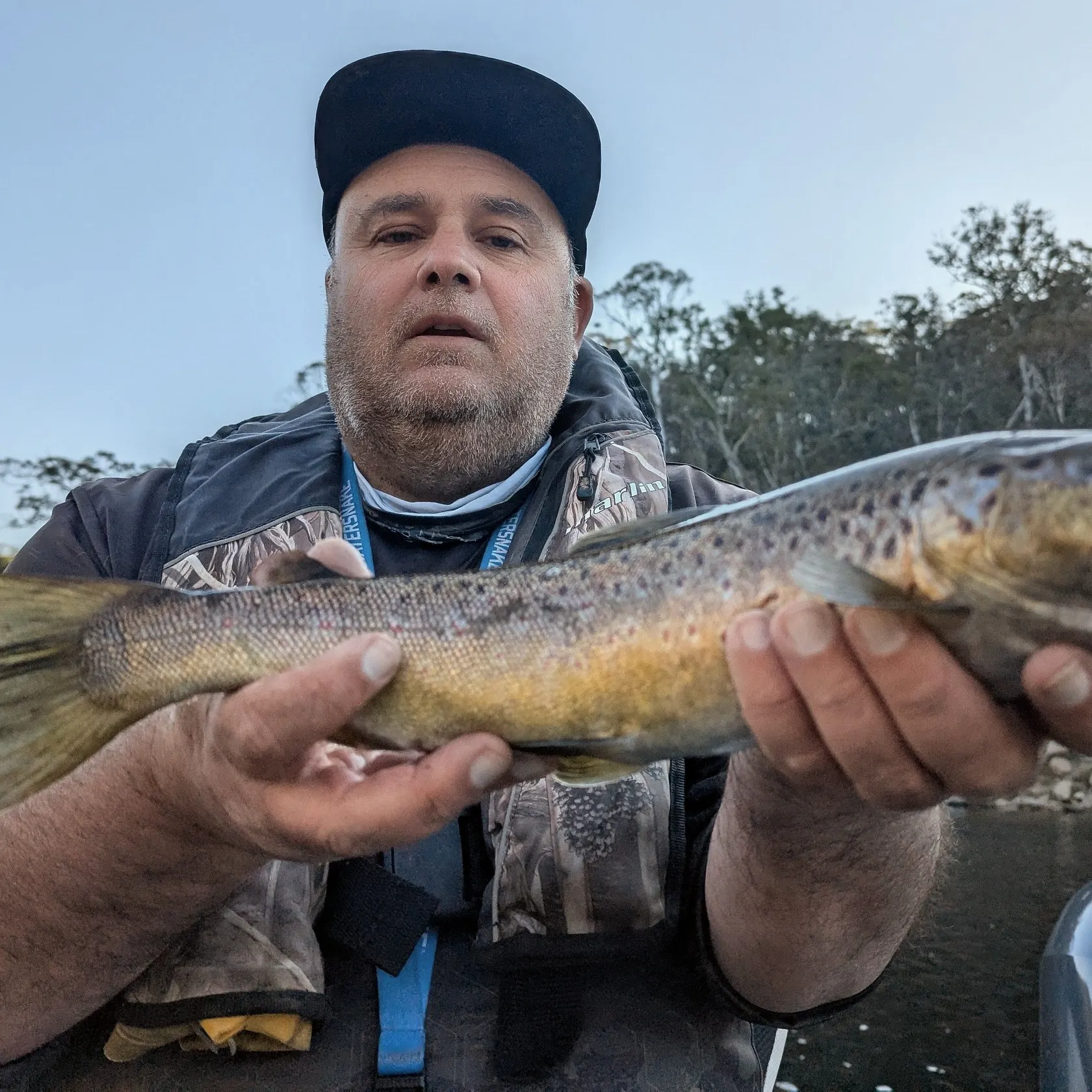 Brown trout caught on Fishbrain