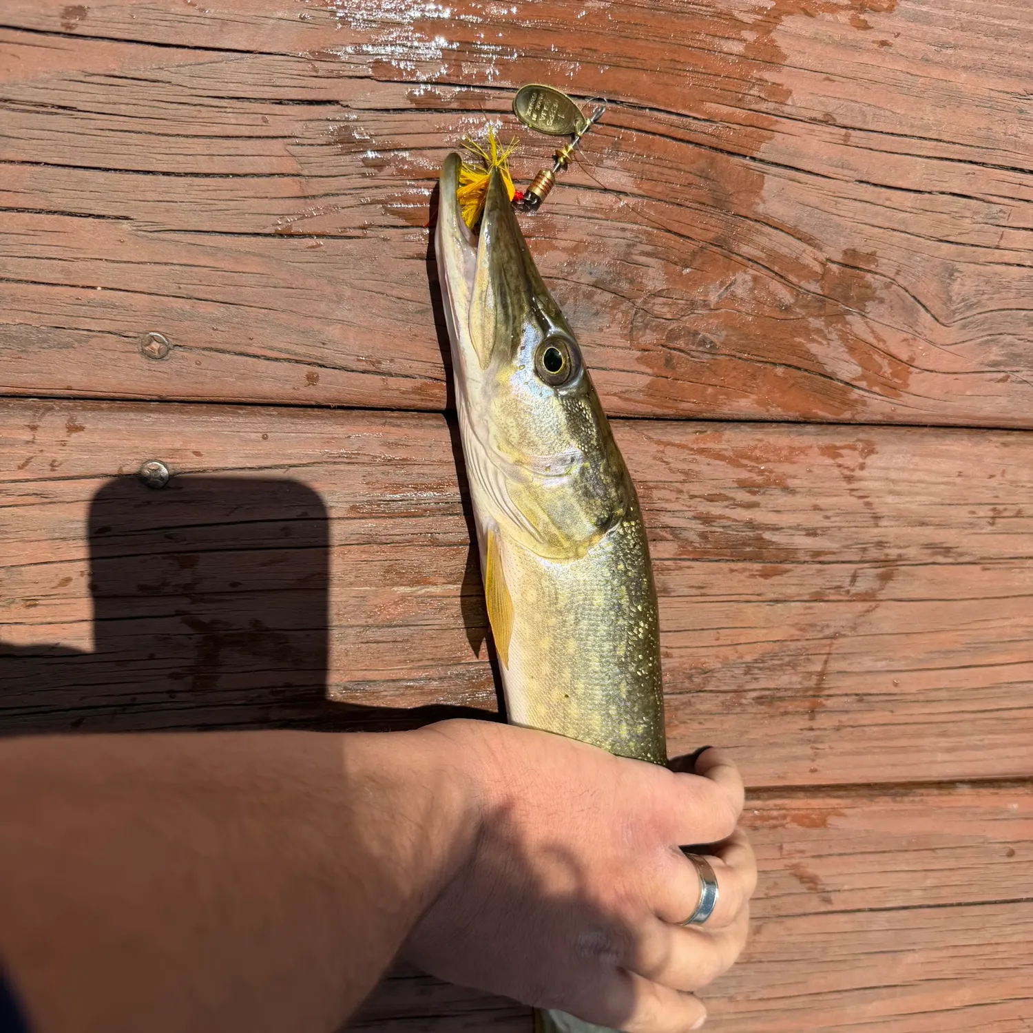 catch