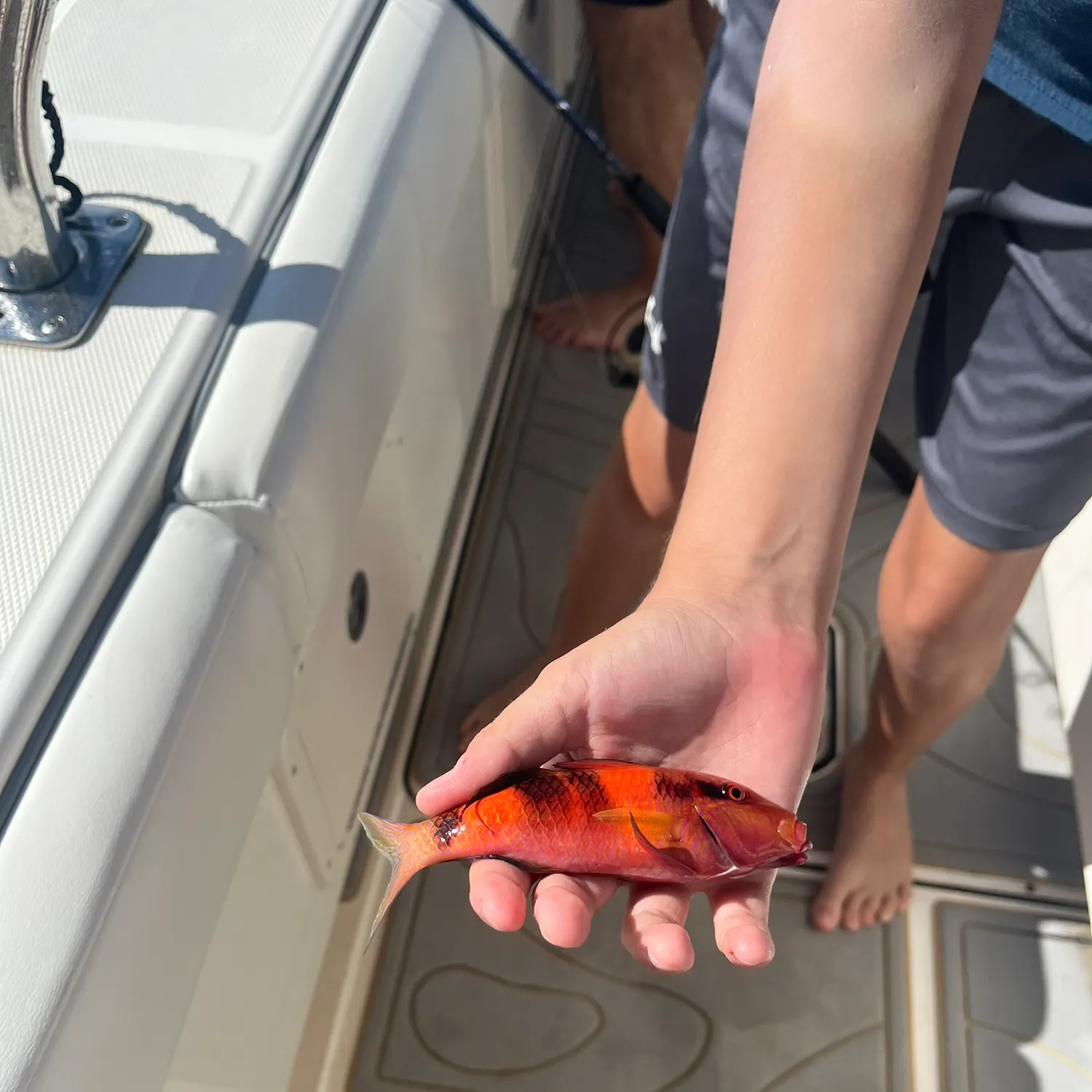 The most recent Manybar goatfish catches on Fishbrain