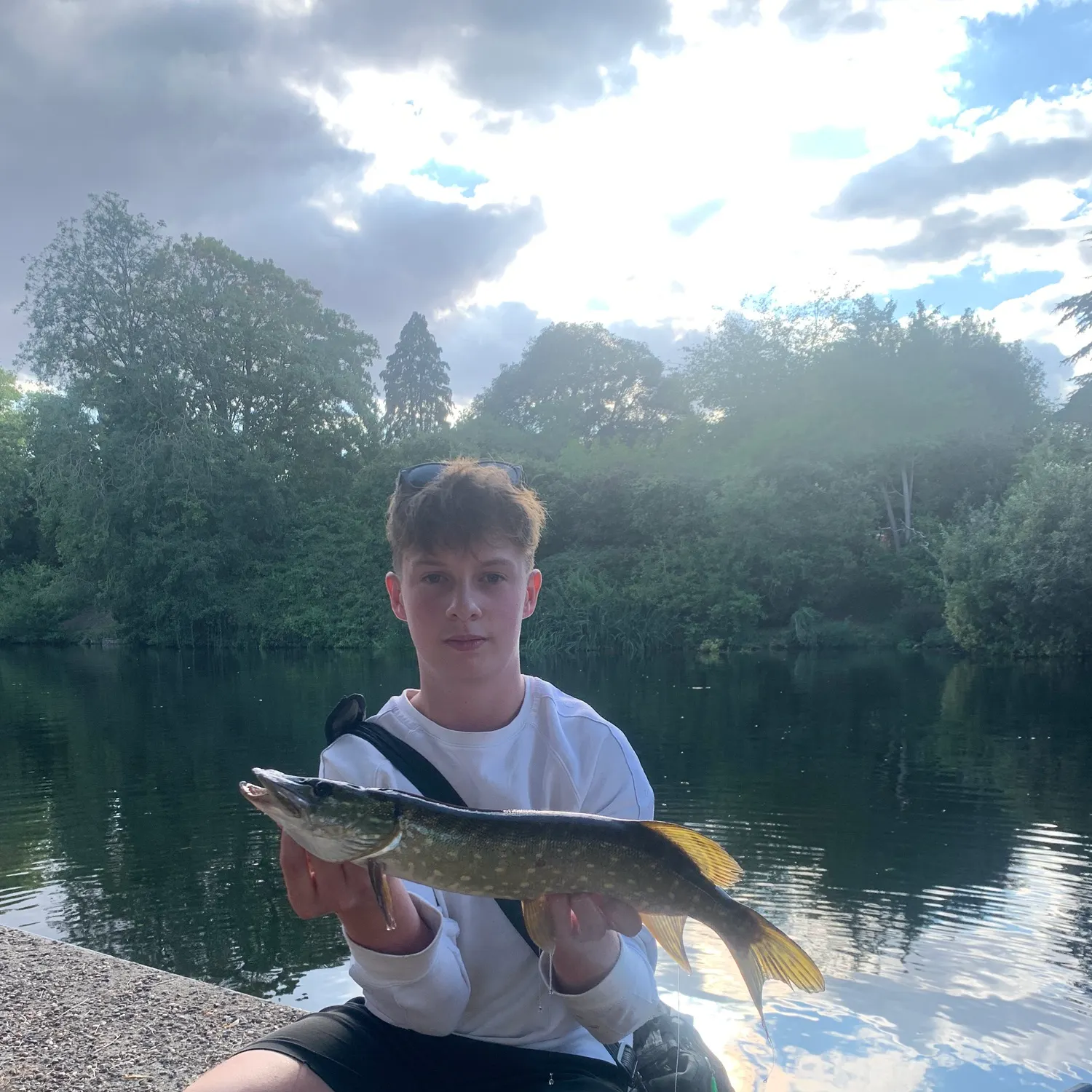 Northern pike caught on Fishbrain