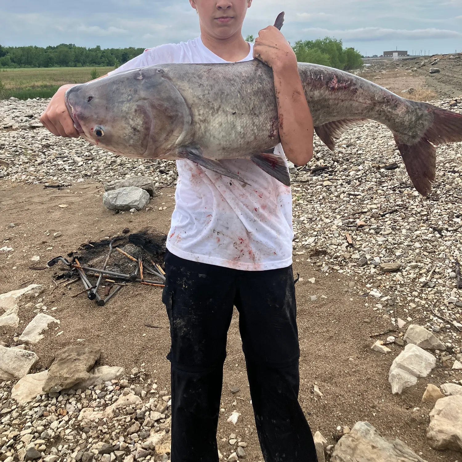 The most recent Bighead carp catches on Fishbrain