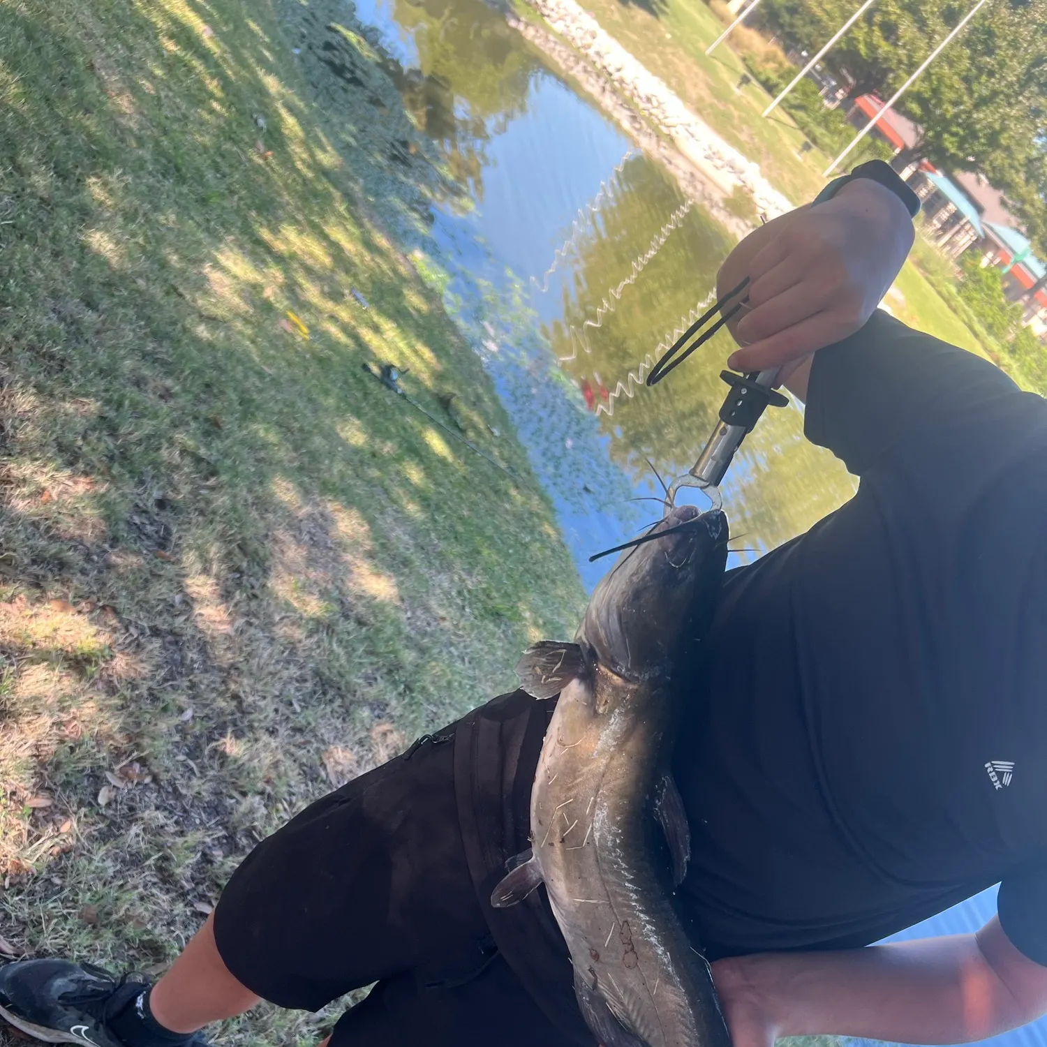 Fish caught on Fishbrain