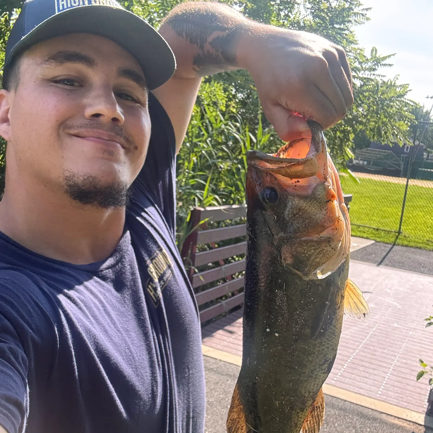 catch