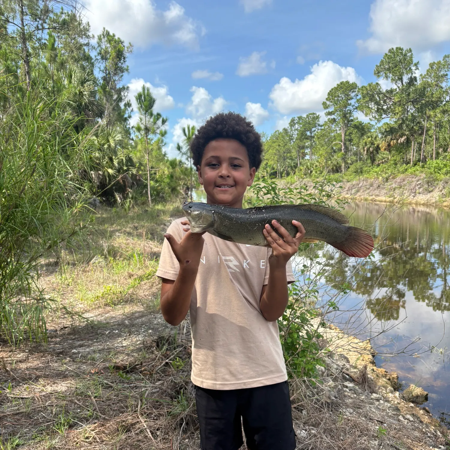 The most recent Ruddy bowfin catches on Fishbrain