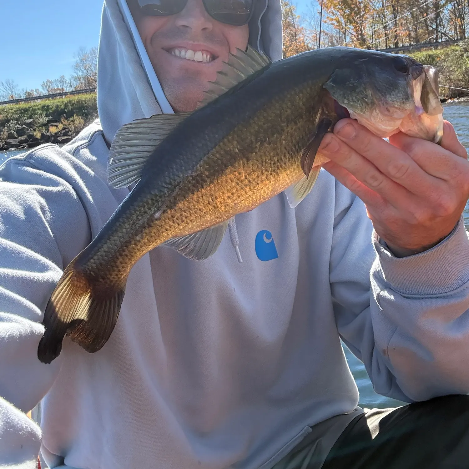 Largemouth bass caught on Fishbrain