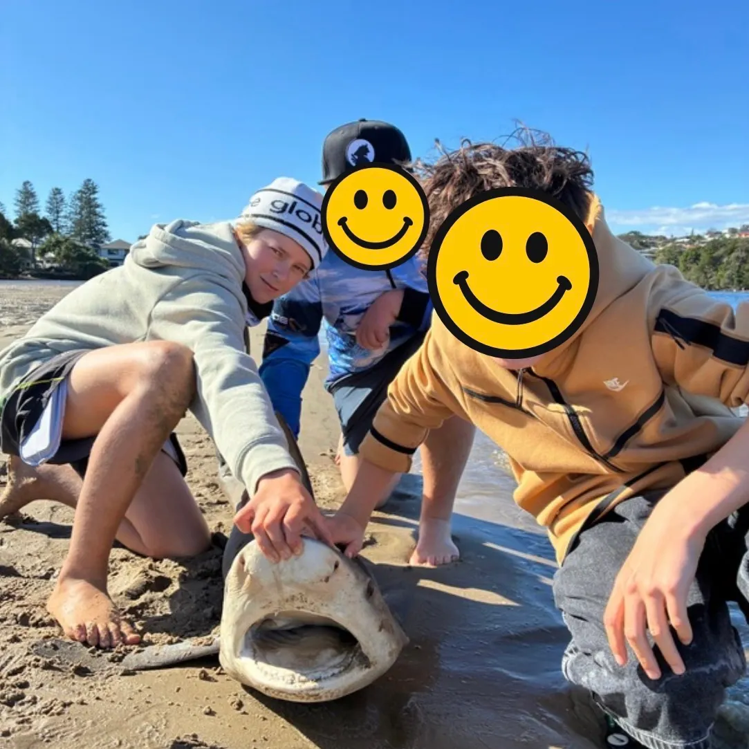 Bull shark caught on Fishbrain