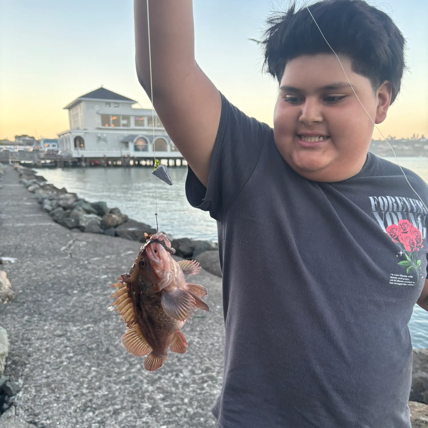 The most recent Brown rockfish catches on Fishbrain