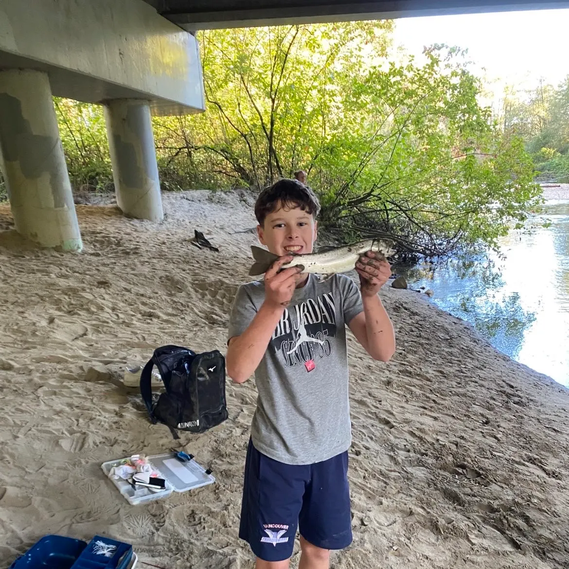 The most recent Dolly varden catches on Fishbrain