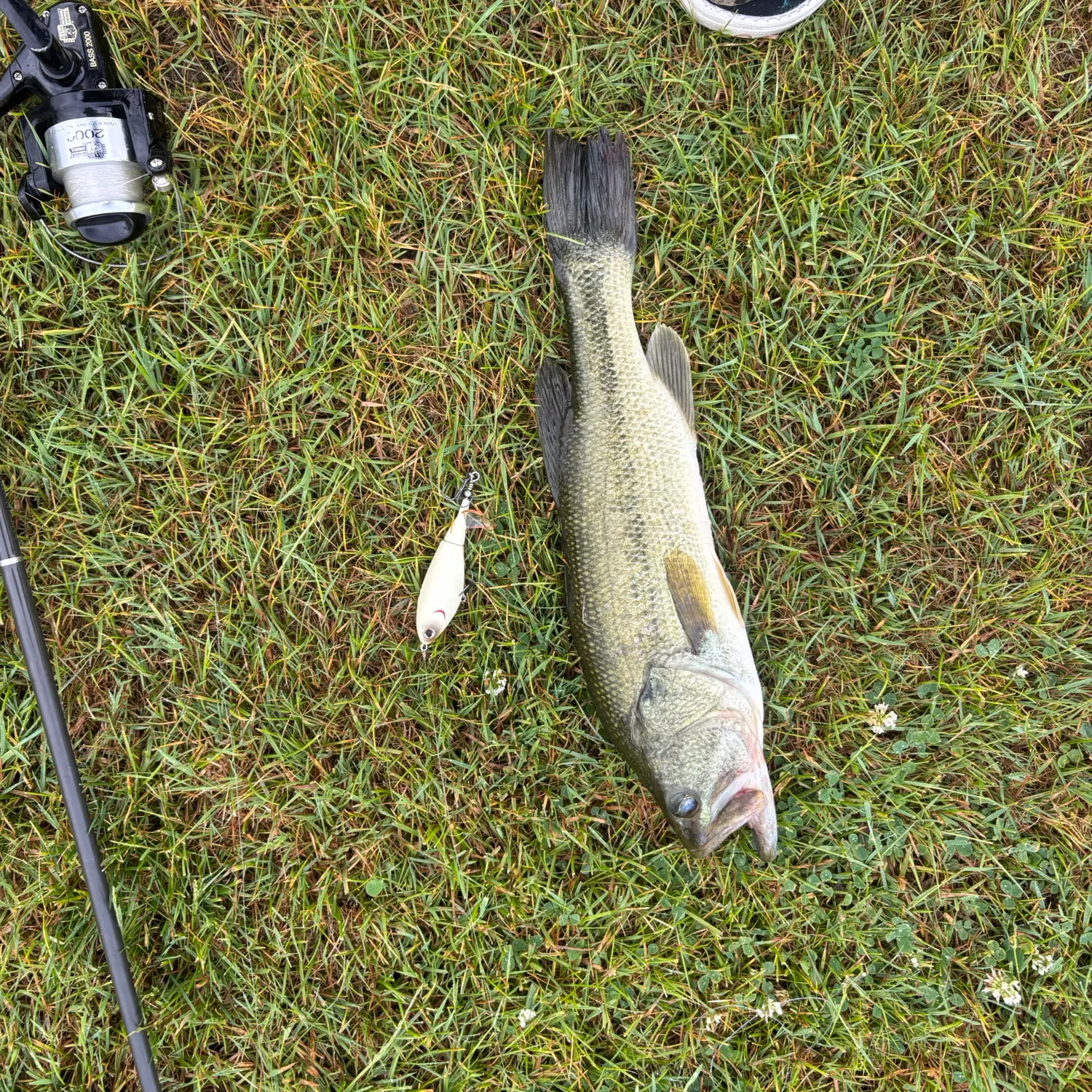 angler catch