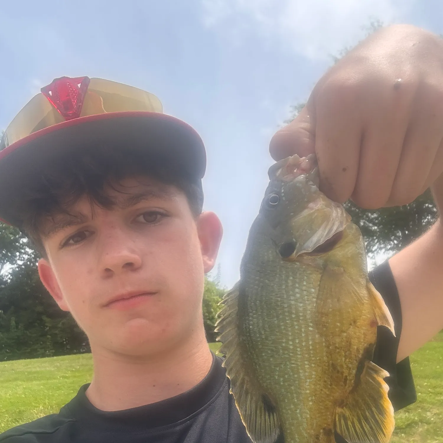 The most recent Green sunfish catches on Fishbrain
