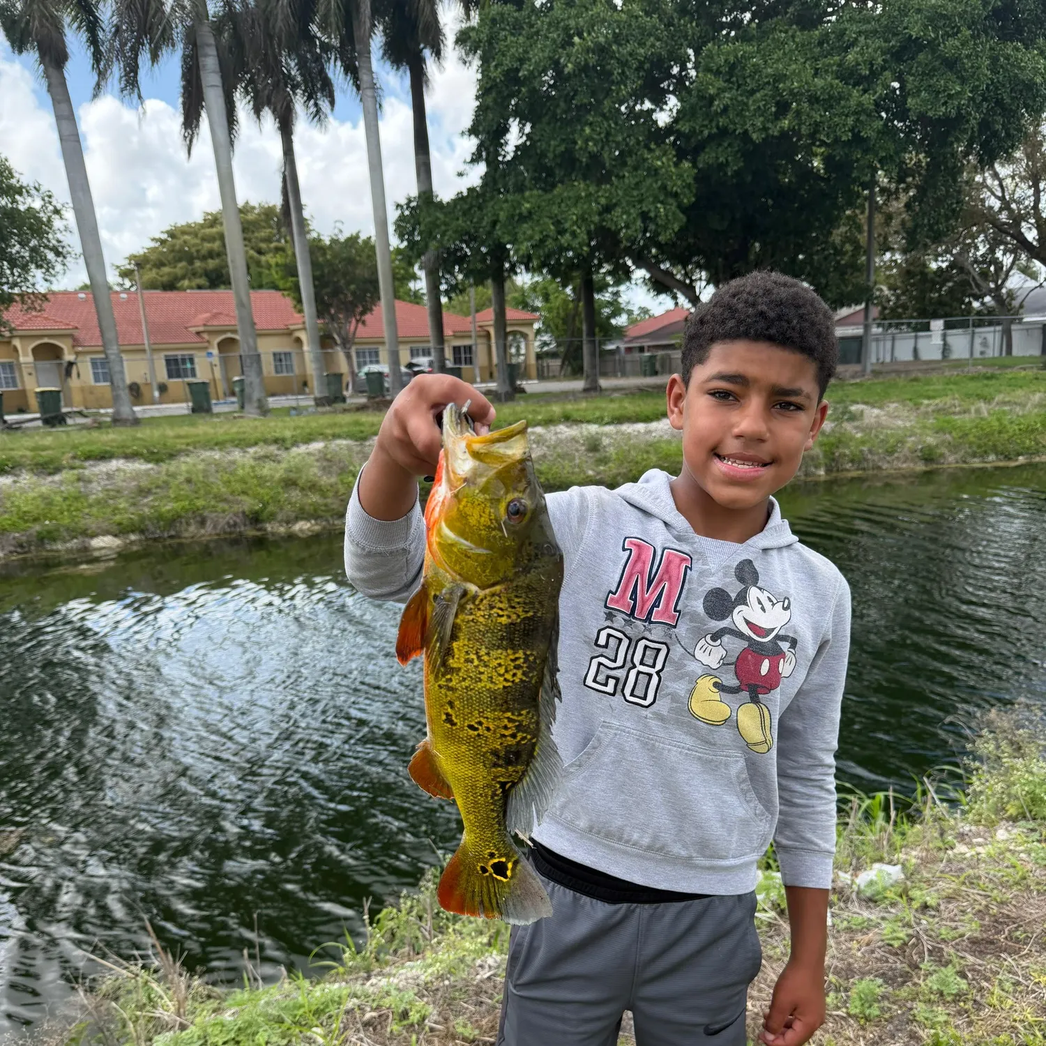 The most recent Butterfly peacock bass catches on Fishbrain