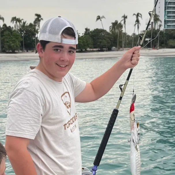 Great barracuda caught on Fishbrain