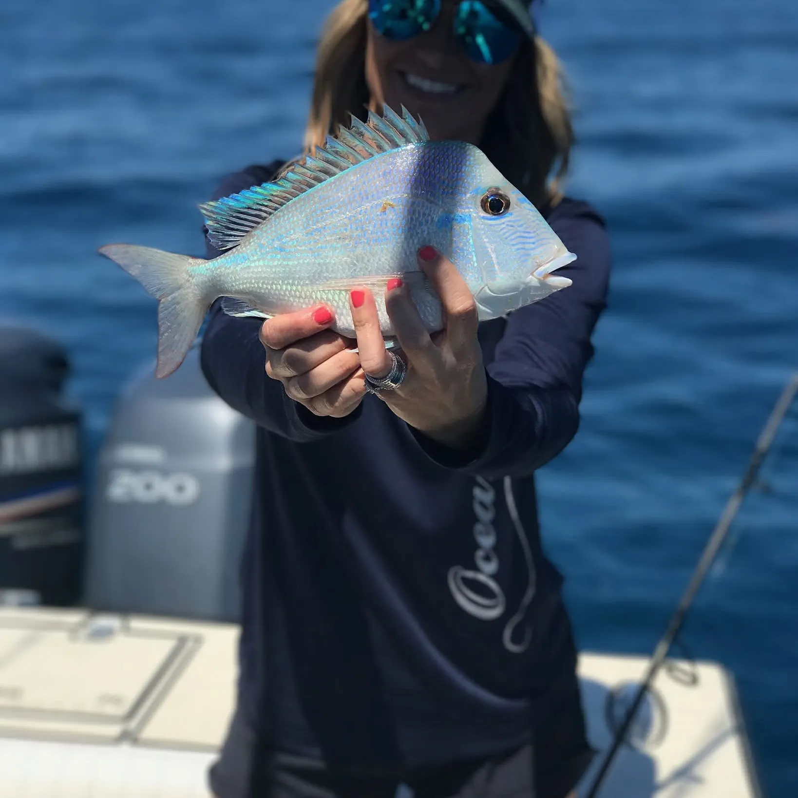 The most recent Pluma porgy catches on Fishbrain