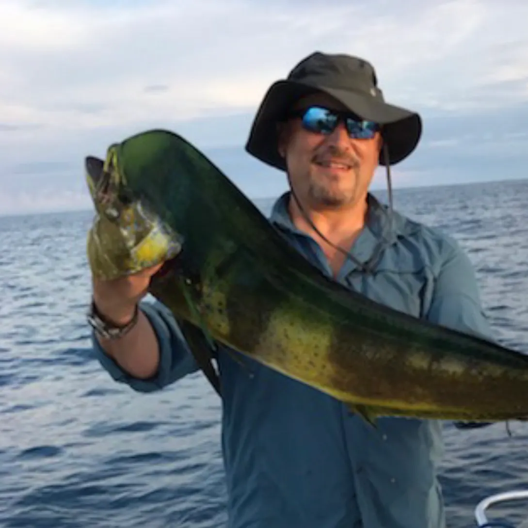 Common dolphinfish caught on Fishbrain