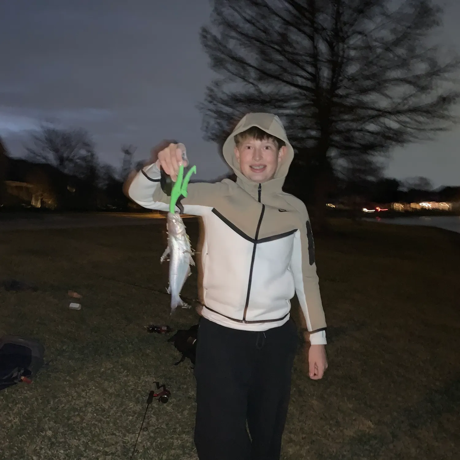 The most recent Black bullhead catches on Fishbrain