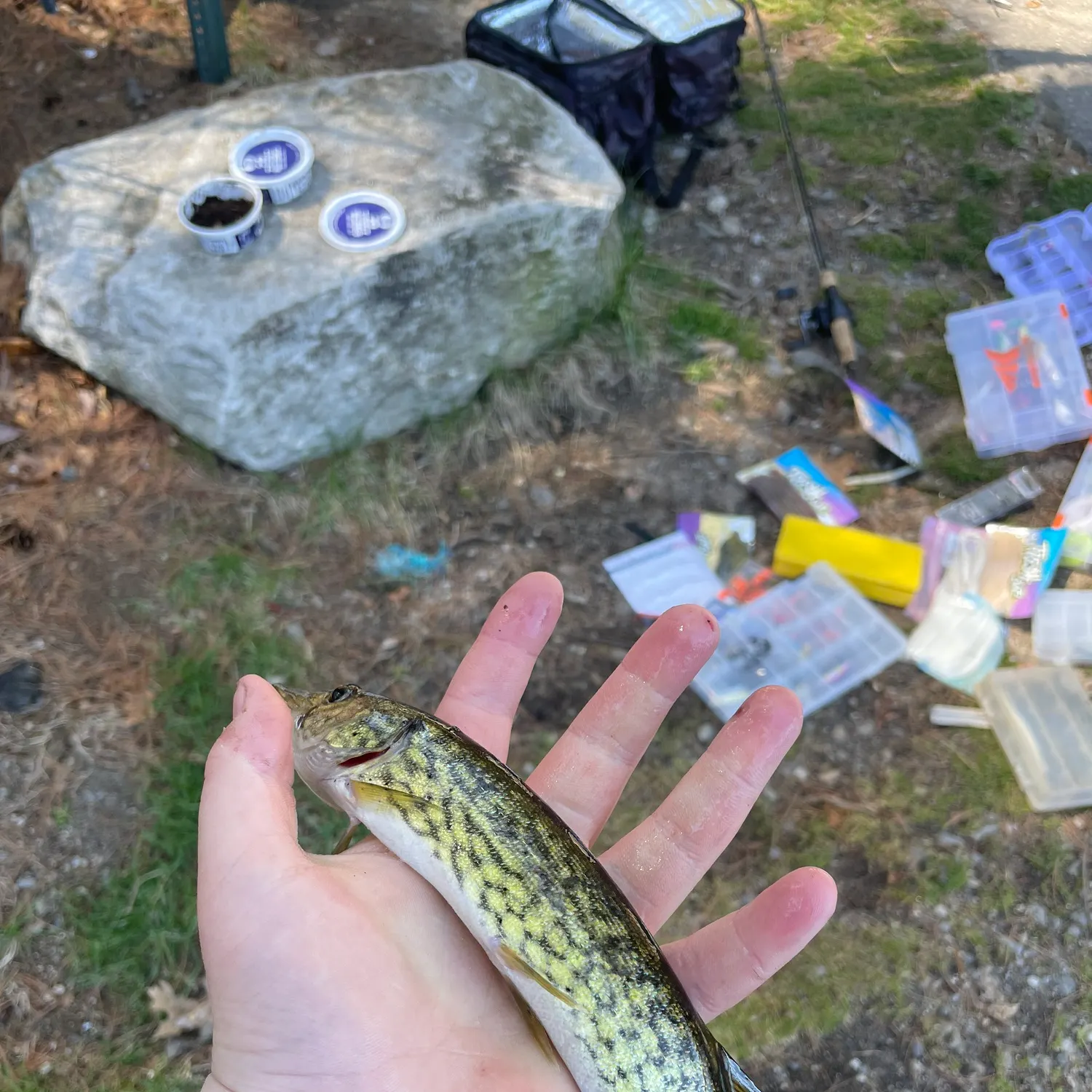 catch