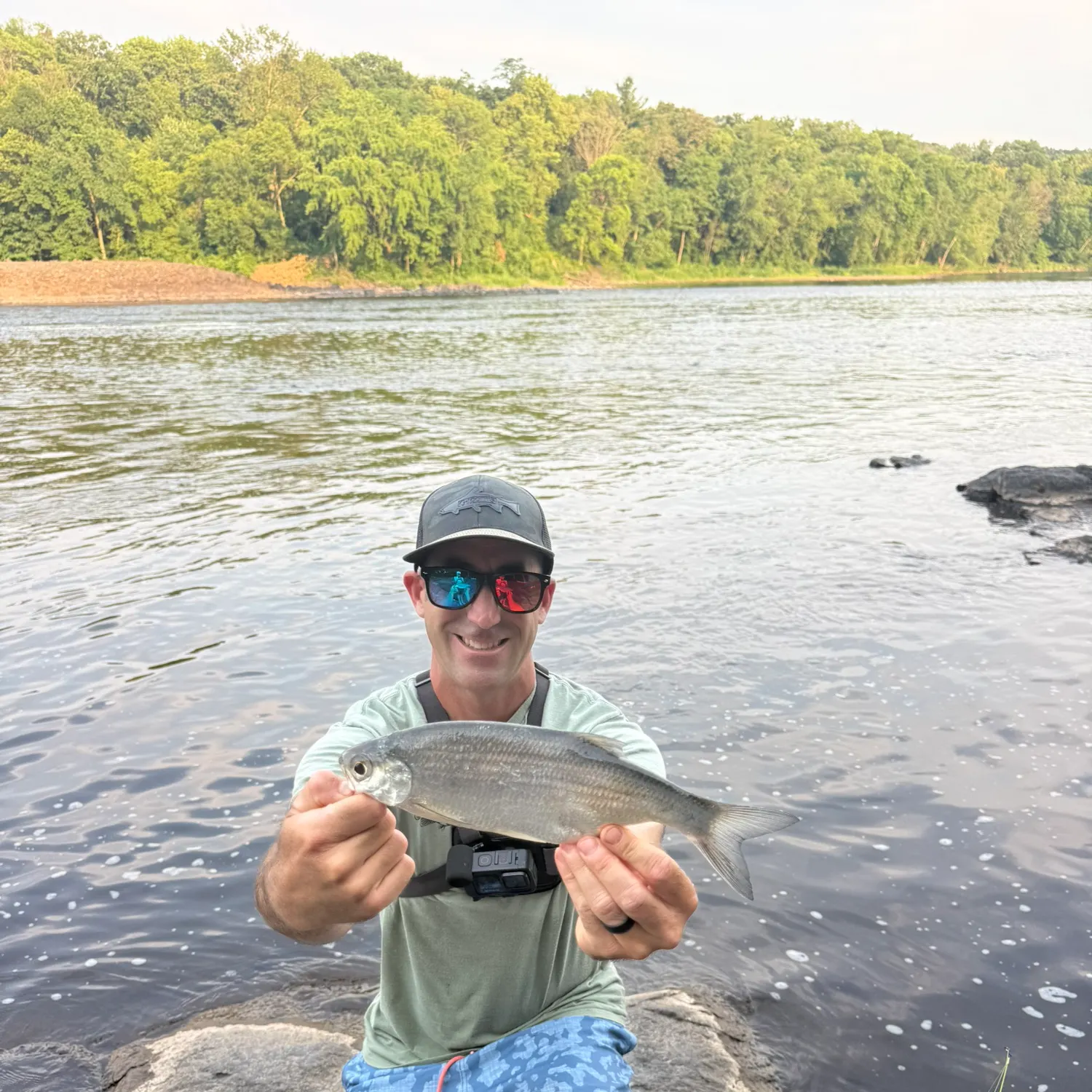The most recent Mooneye catches on Fishbrain