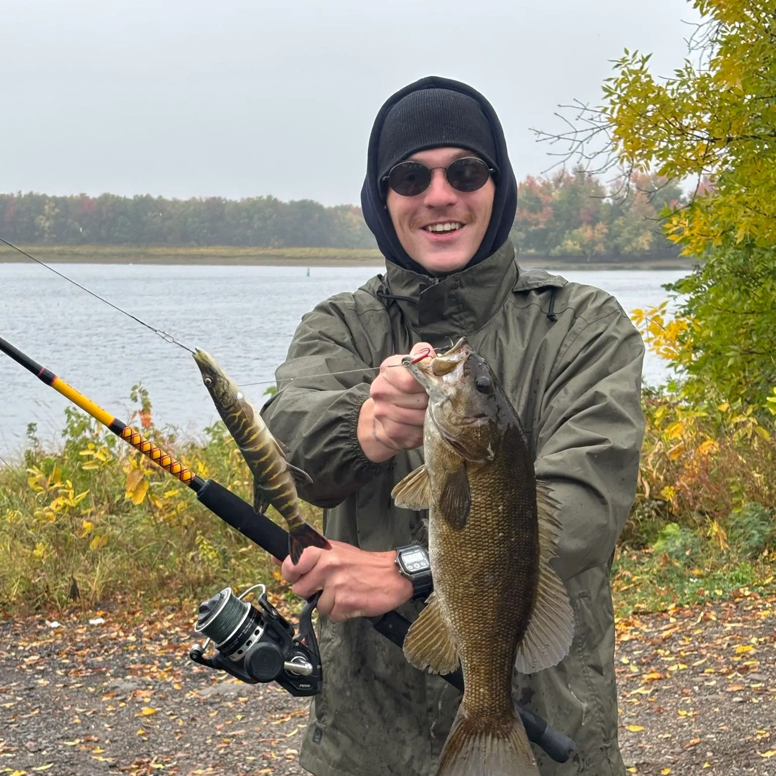 Smallmouth bass caught on Fishbrain