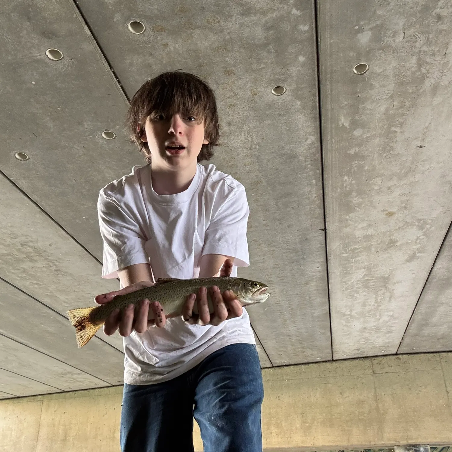 Rainbow trout caught on Fishbrain