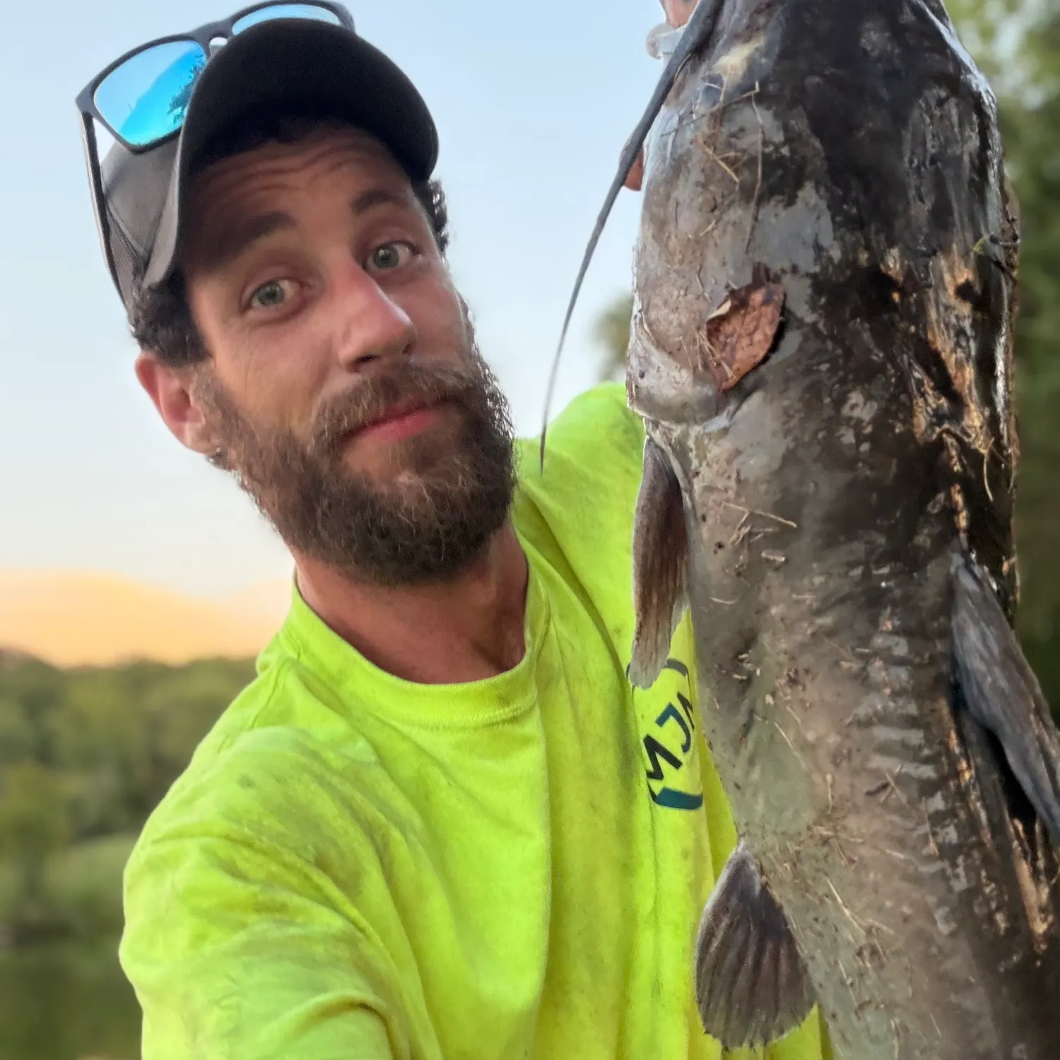 Channel catfish caught on Fishbrain
