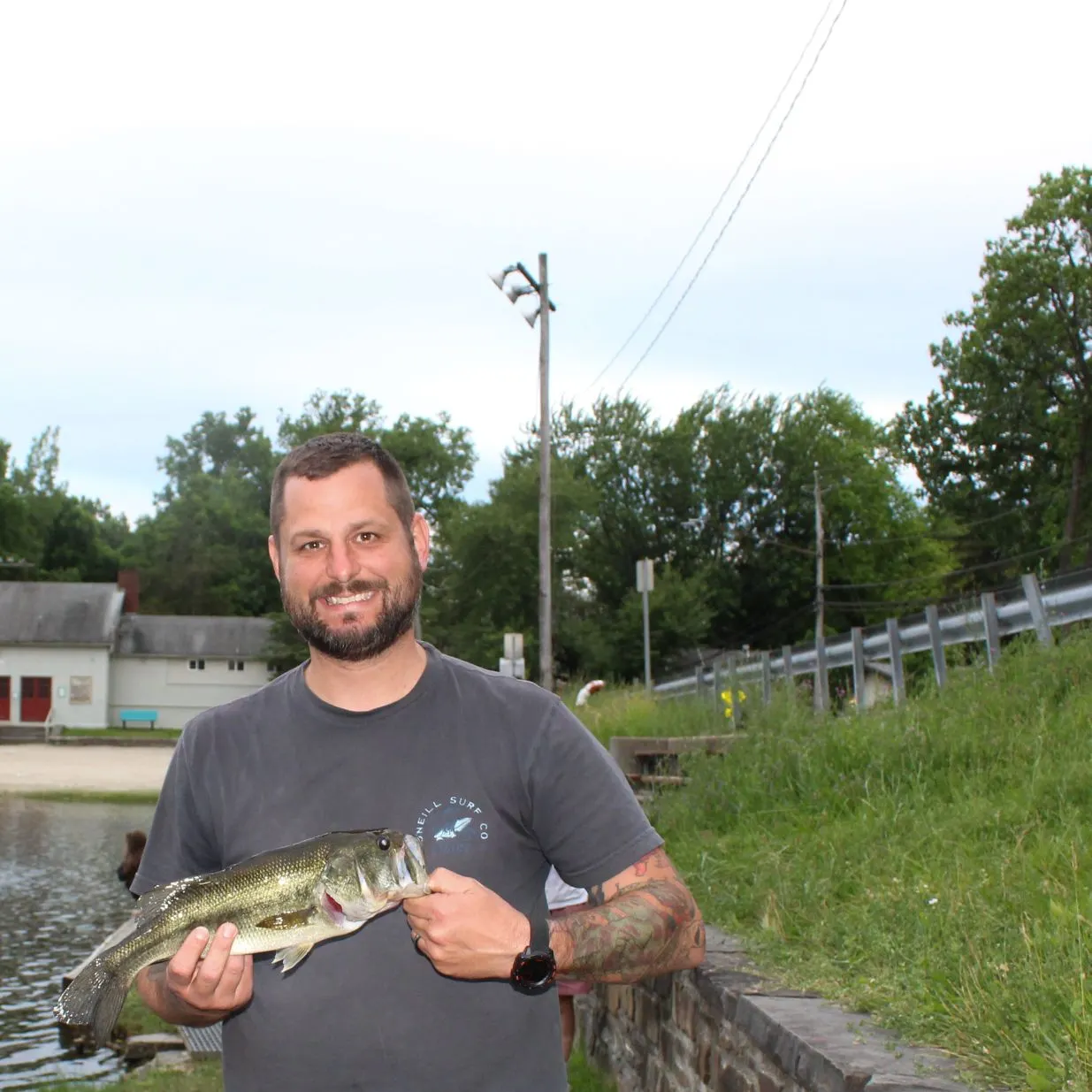 The most recent Largemouth bass catches on Fishbrain