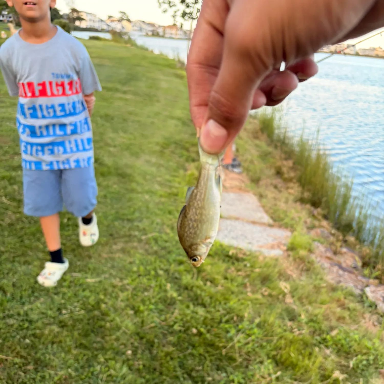 Fish caught on Fishbrain