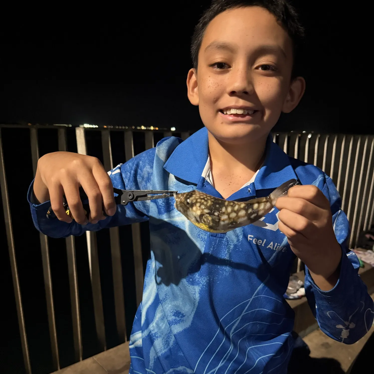 The most recent Reticulated pufferfish catches on Fishbrain